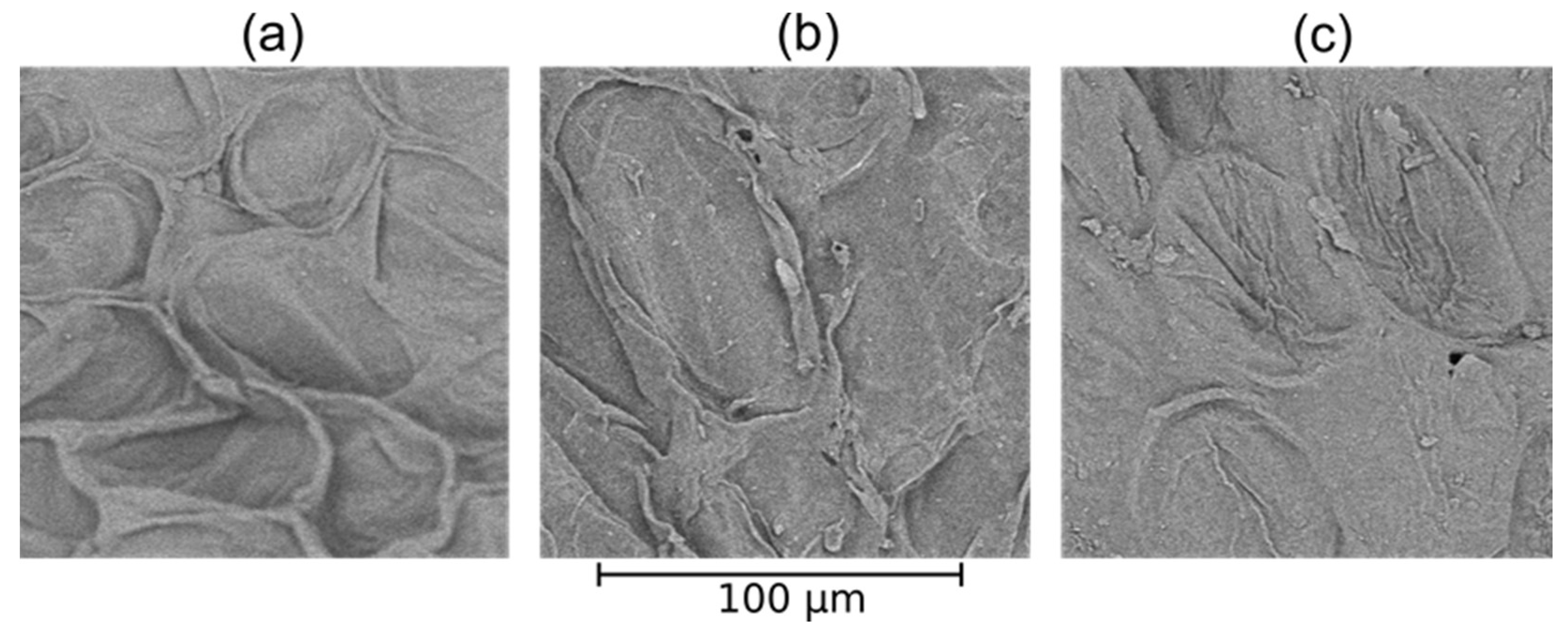 Applsci 11 06164 g007 Applsci 11 06164 g007