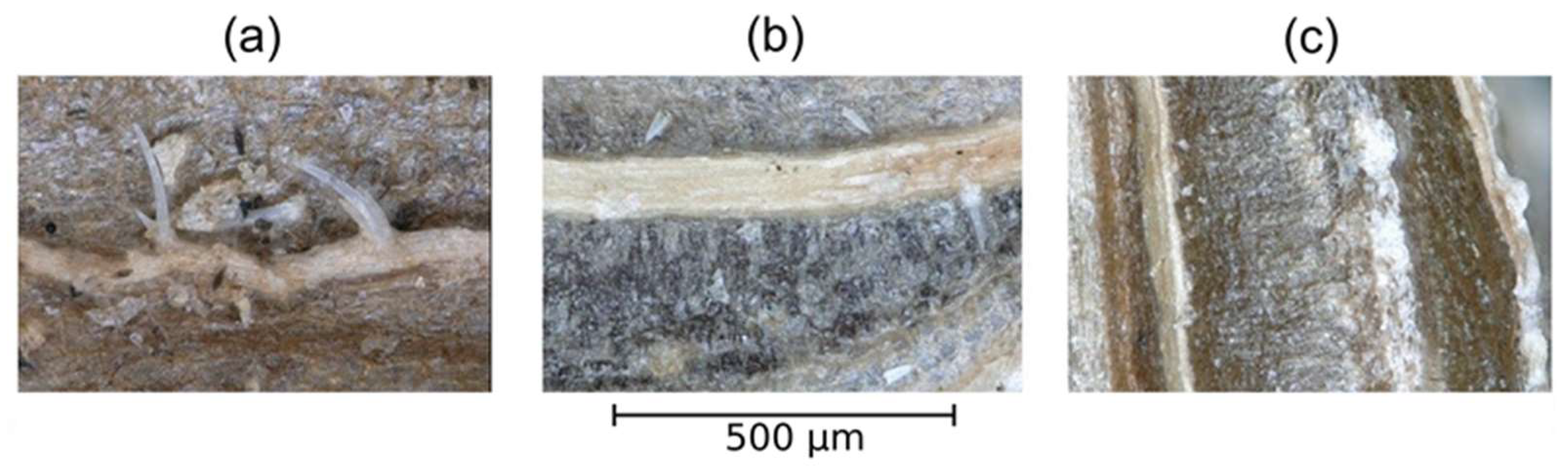 Applsci 11 06164 g008 Applsci 11 06164 g008