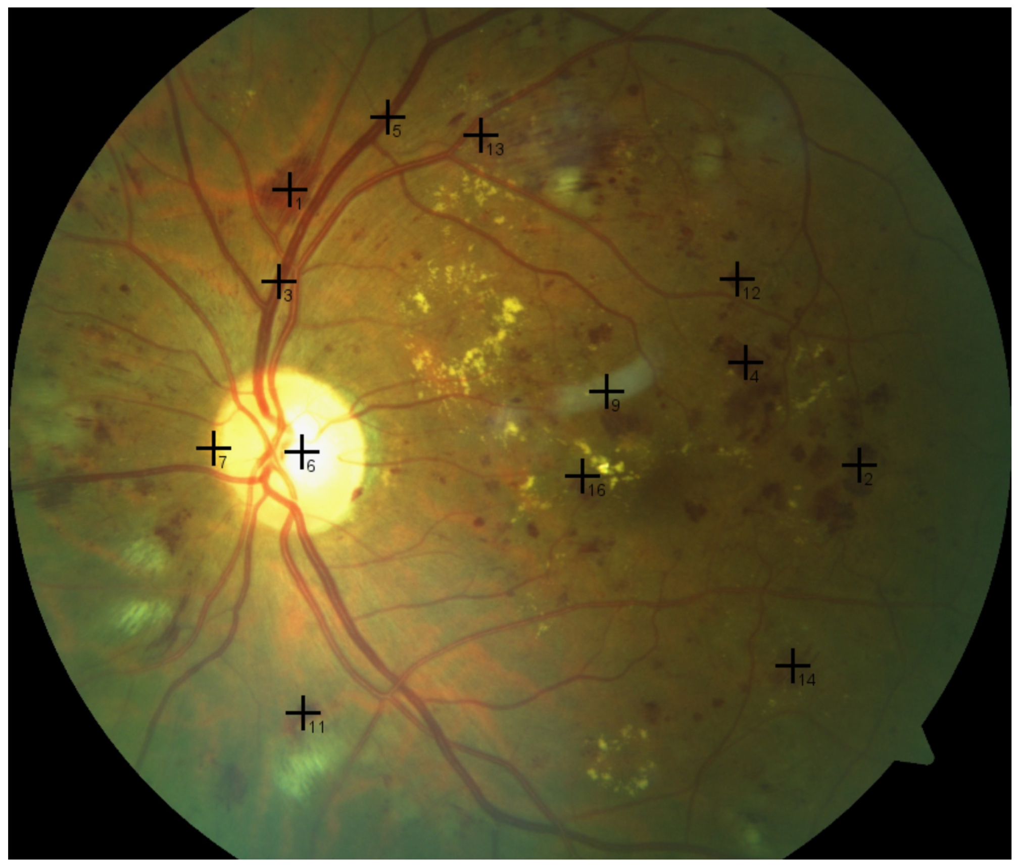 Applsci 11 06178 g001 550