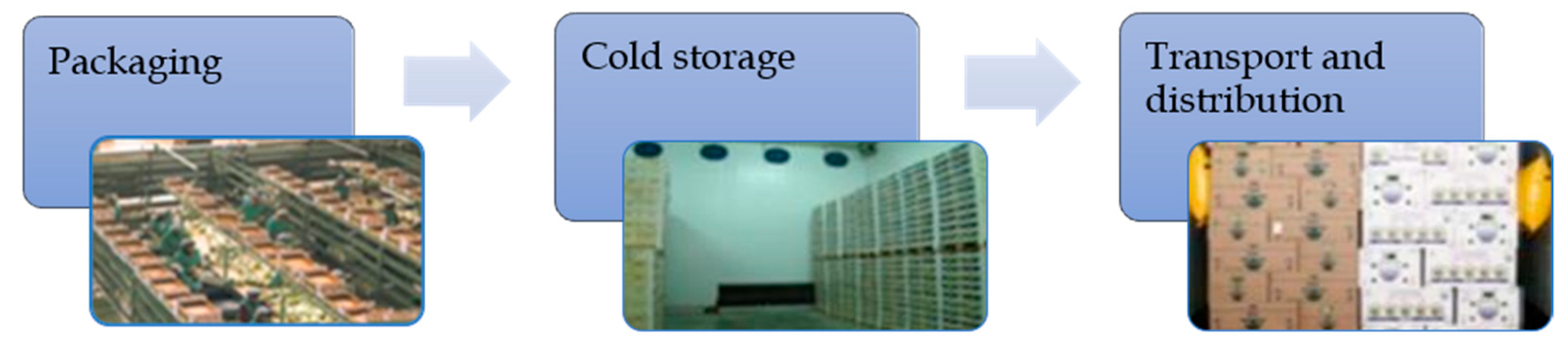 Applsci 11 06183 g011 550