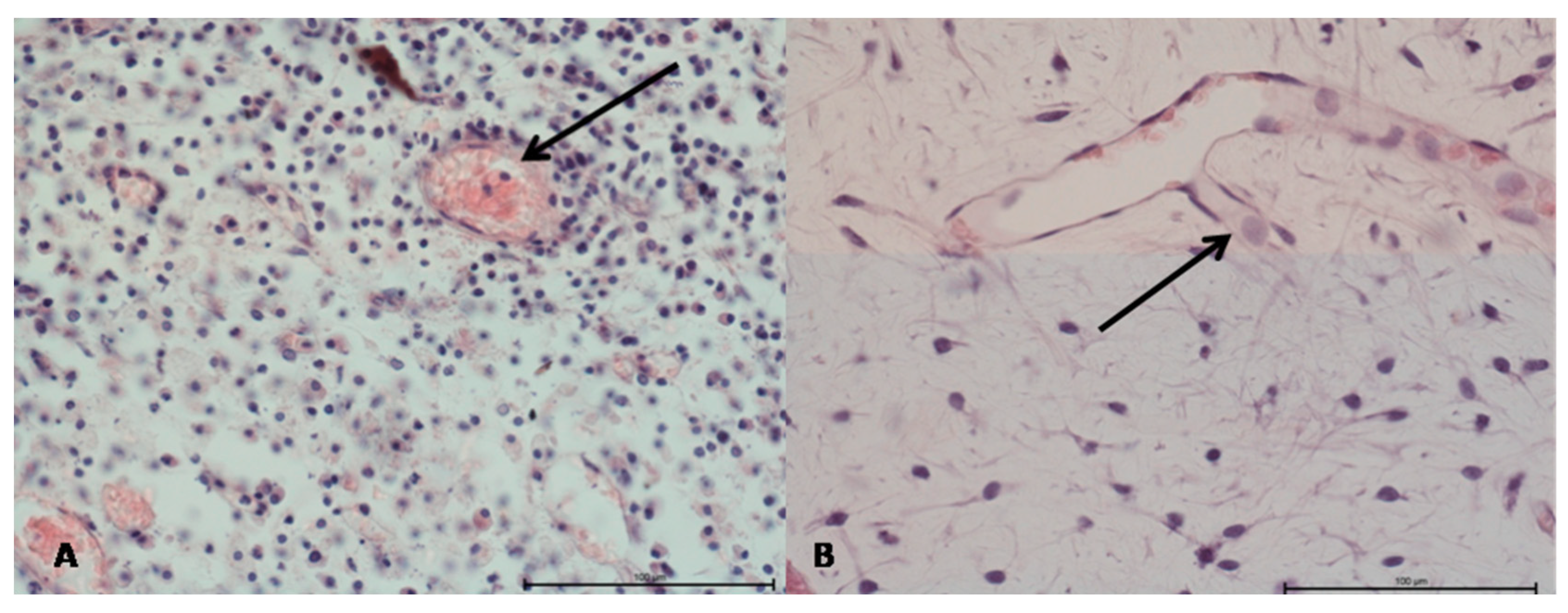 Applsci 11 06211 g002