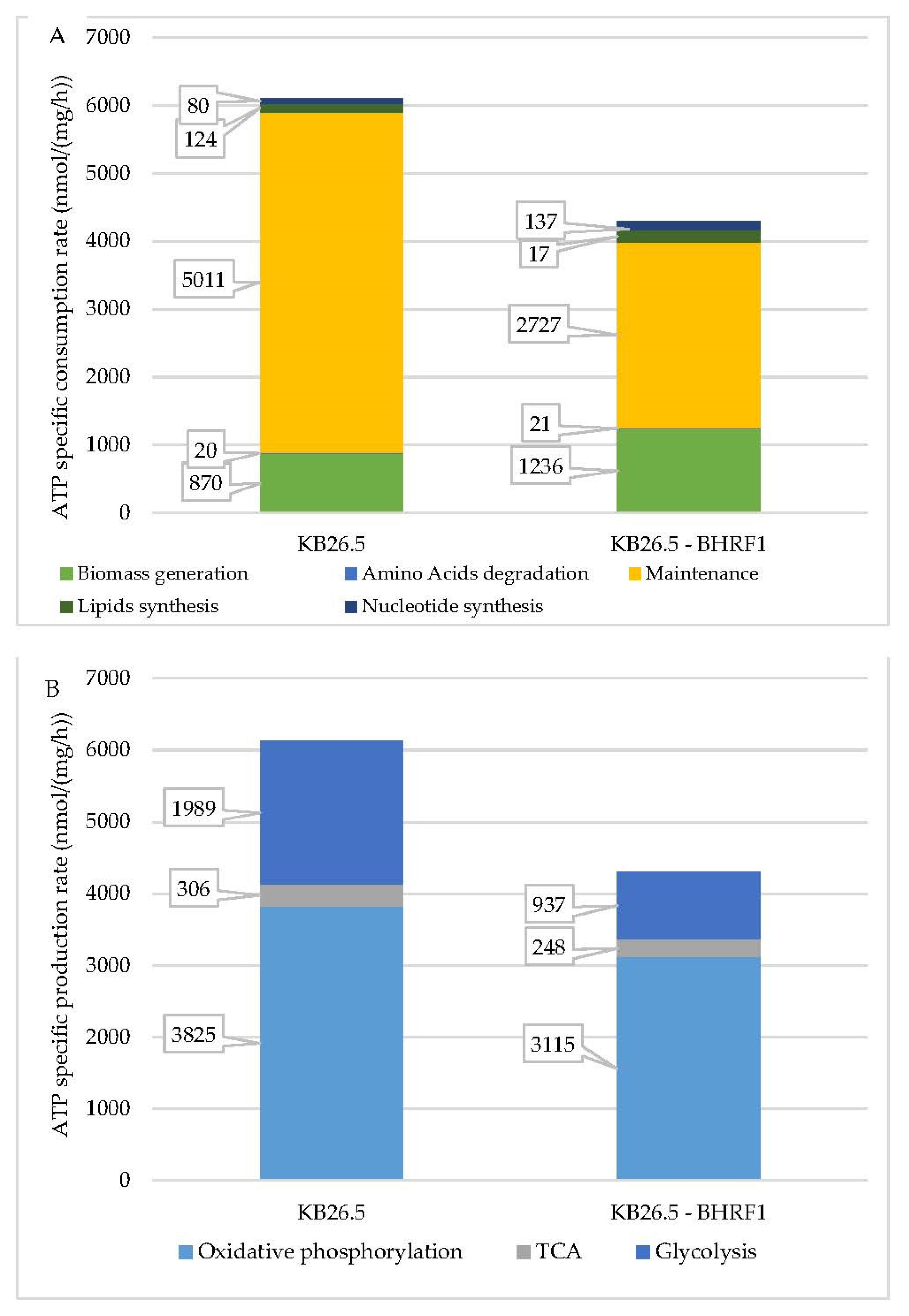 Applsci 11 06258 g006 Applsci 11 06258 g006