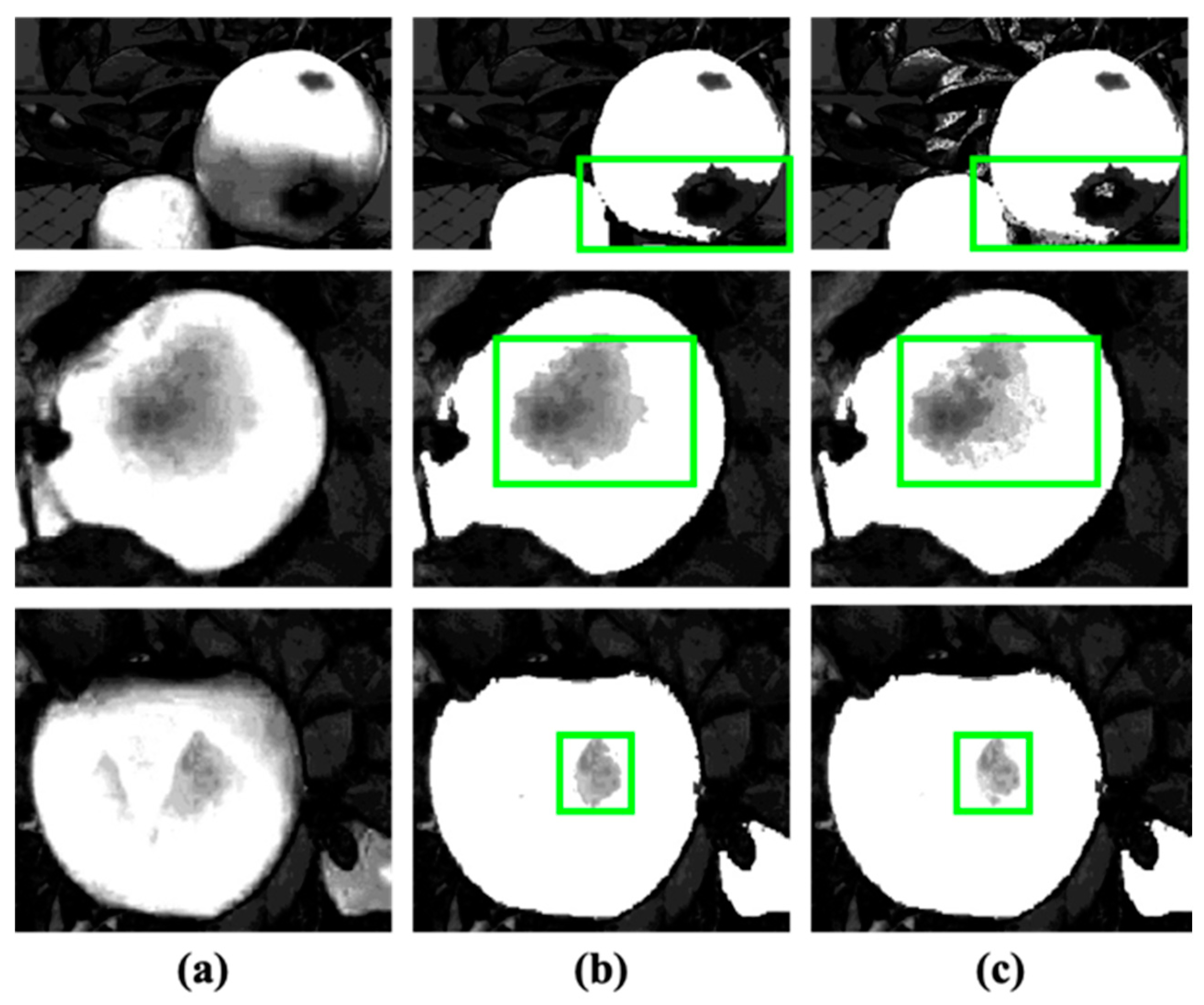 Applsci 11 06269 g003