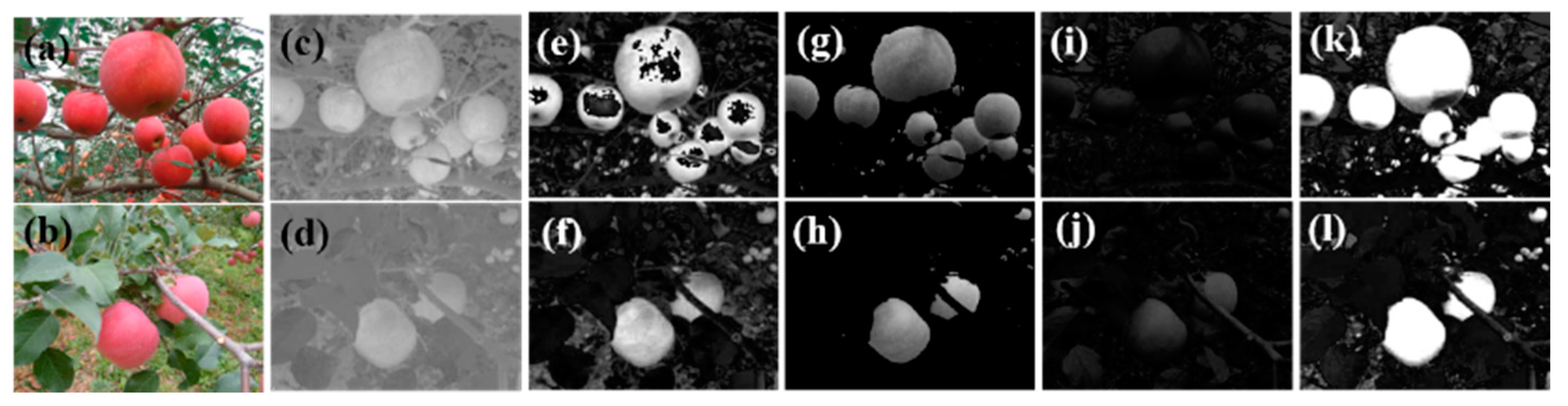 Applsci 11 06269 g006