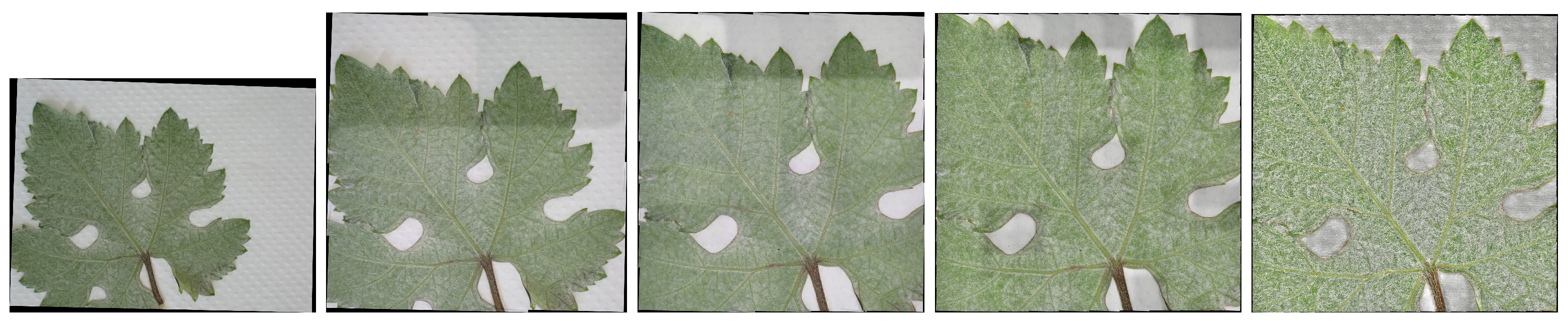 Applsci 11 06274 g012 550