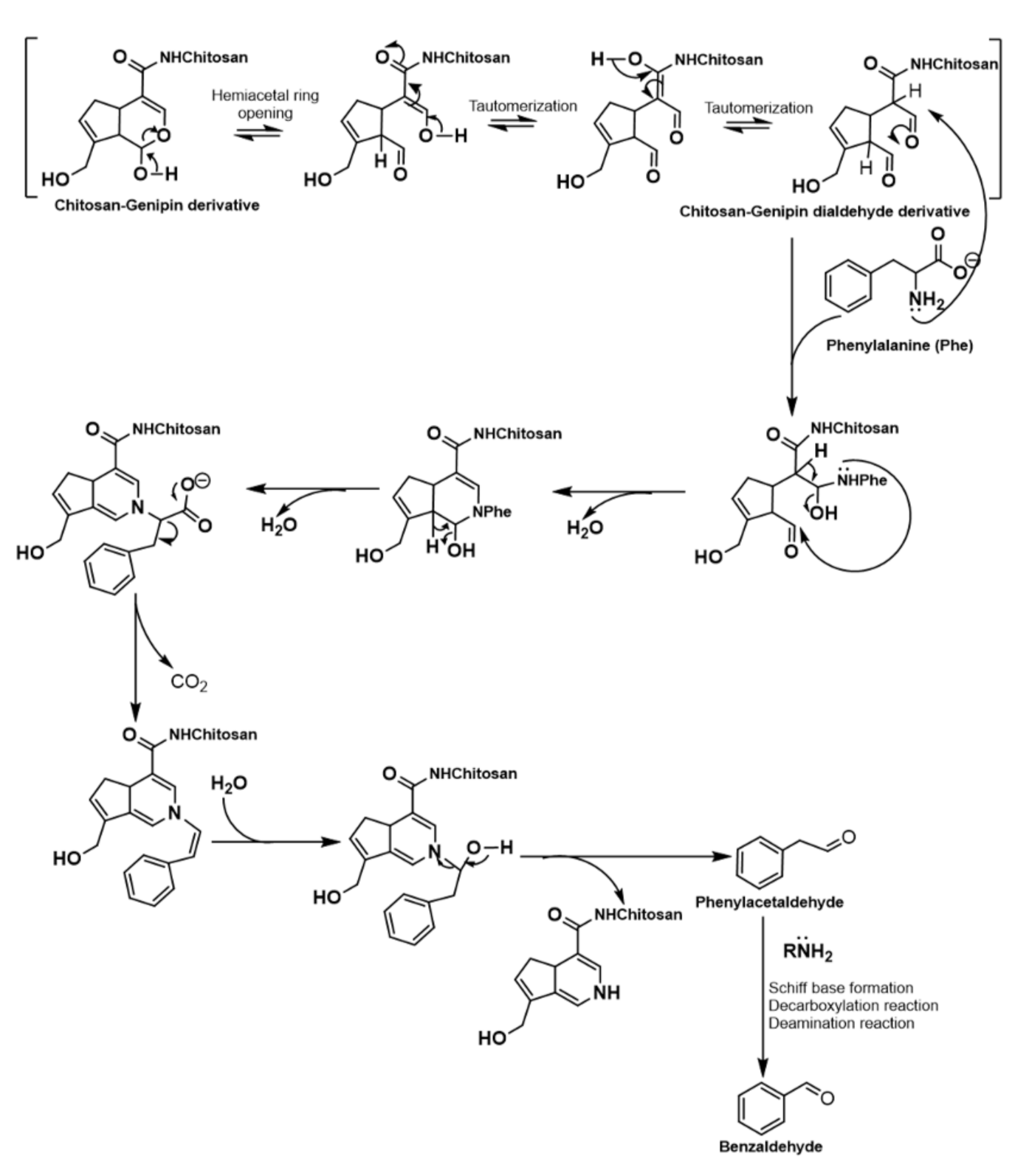 Applsci 11 06294 g002
