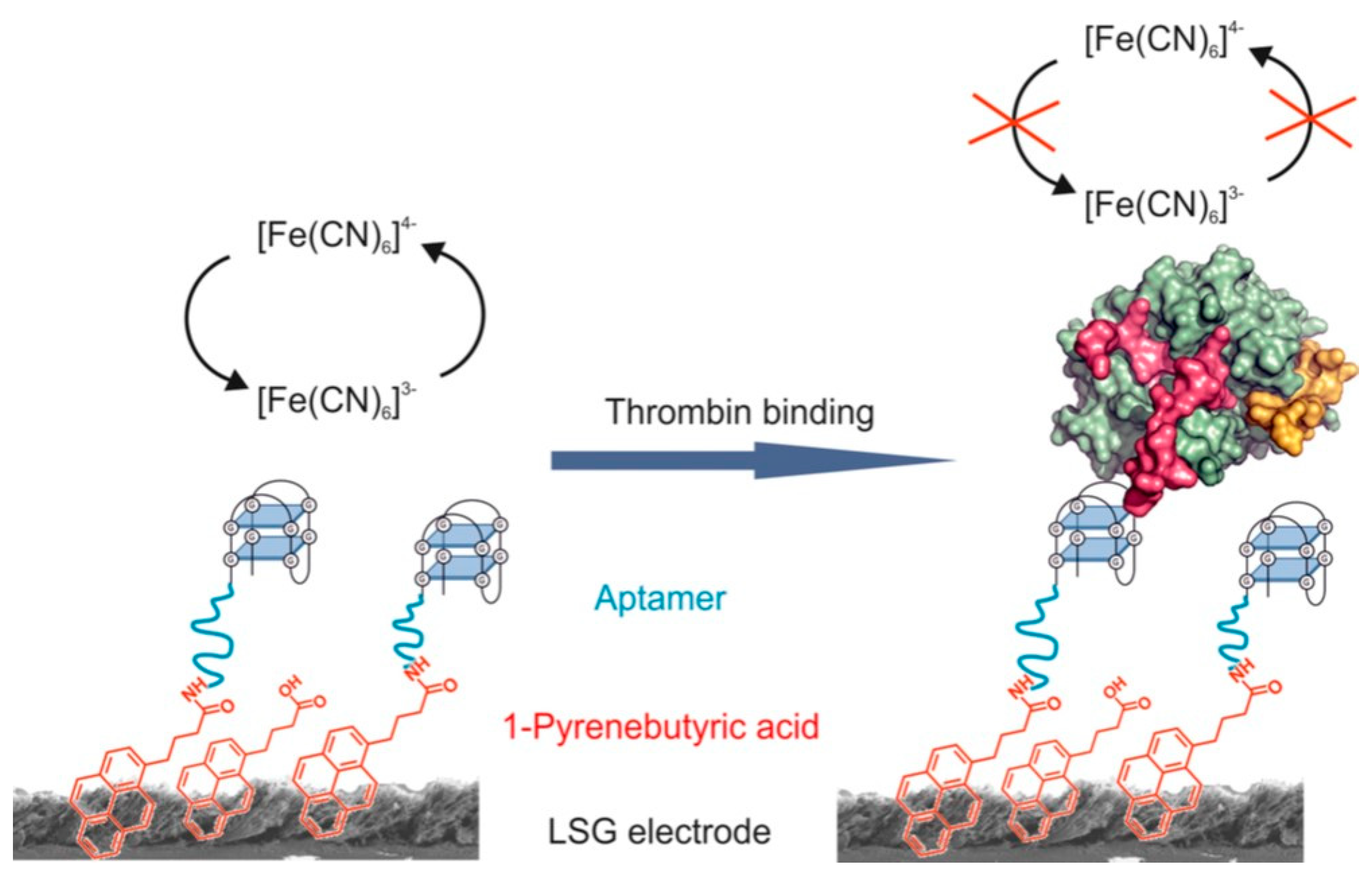 Applsci 11 06304 g012