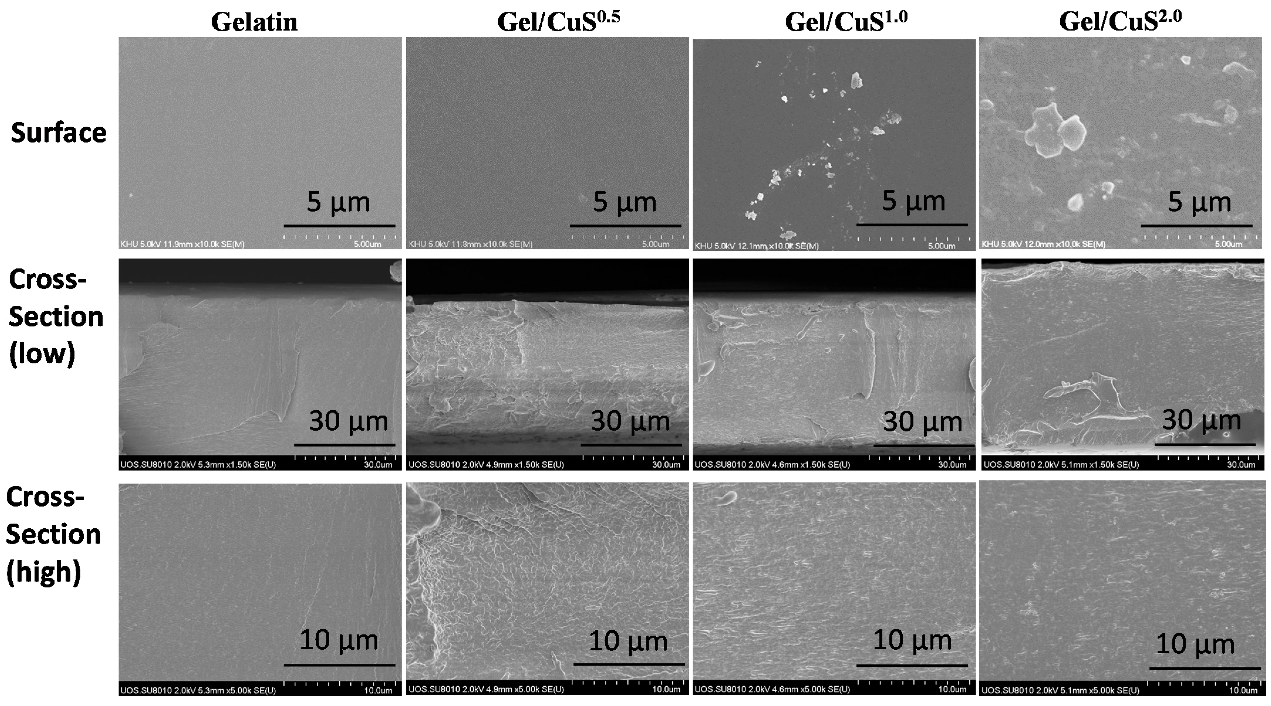 Applsci 11 06307 g003