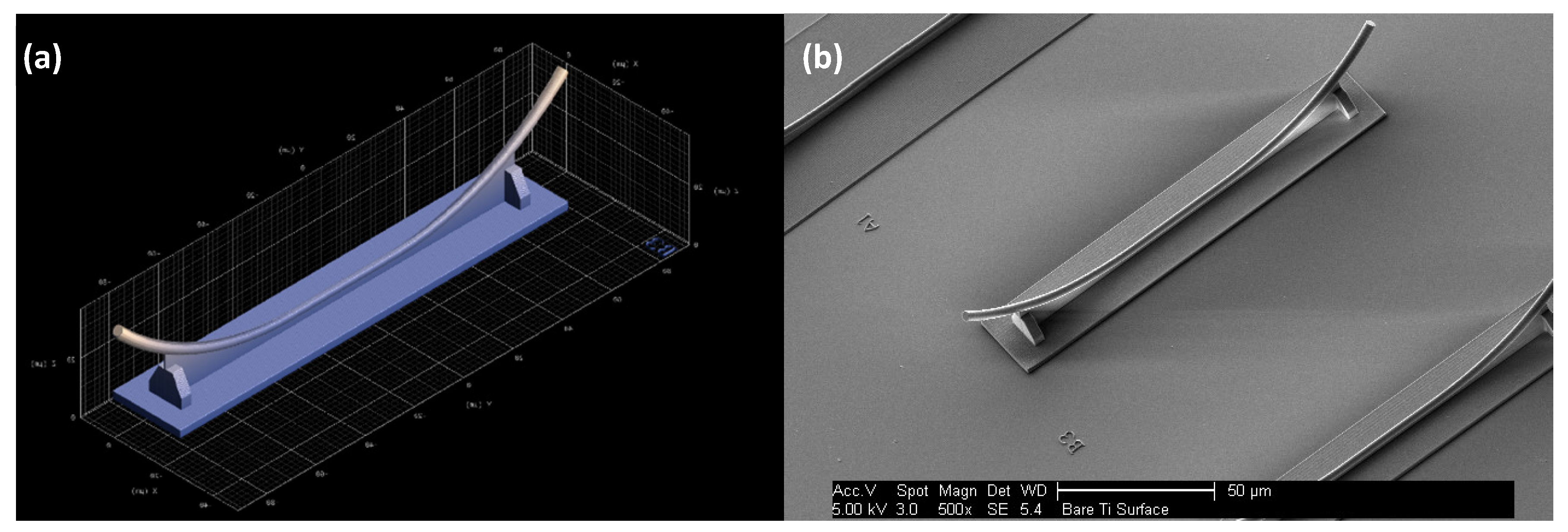Applsci 11 06327 g007