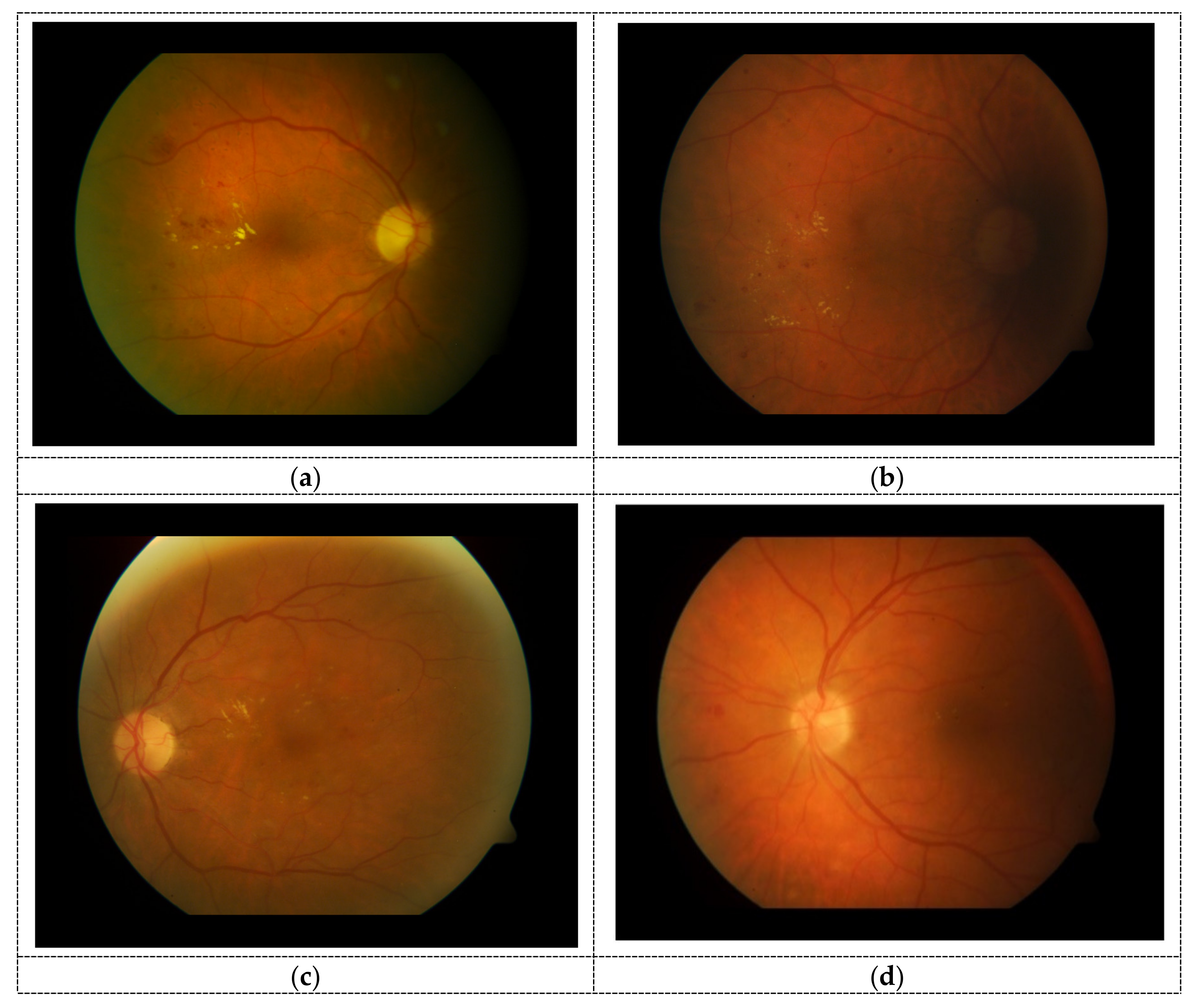 Applsci 11 06391 g001