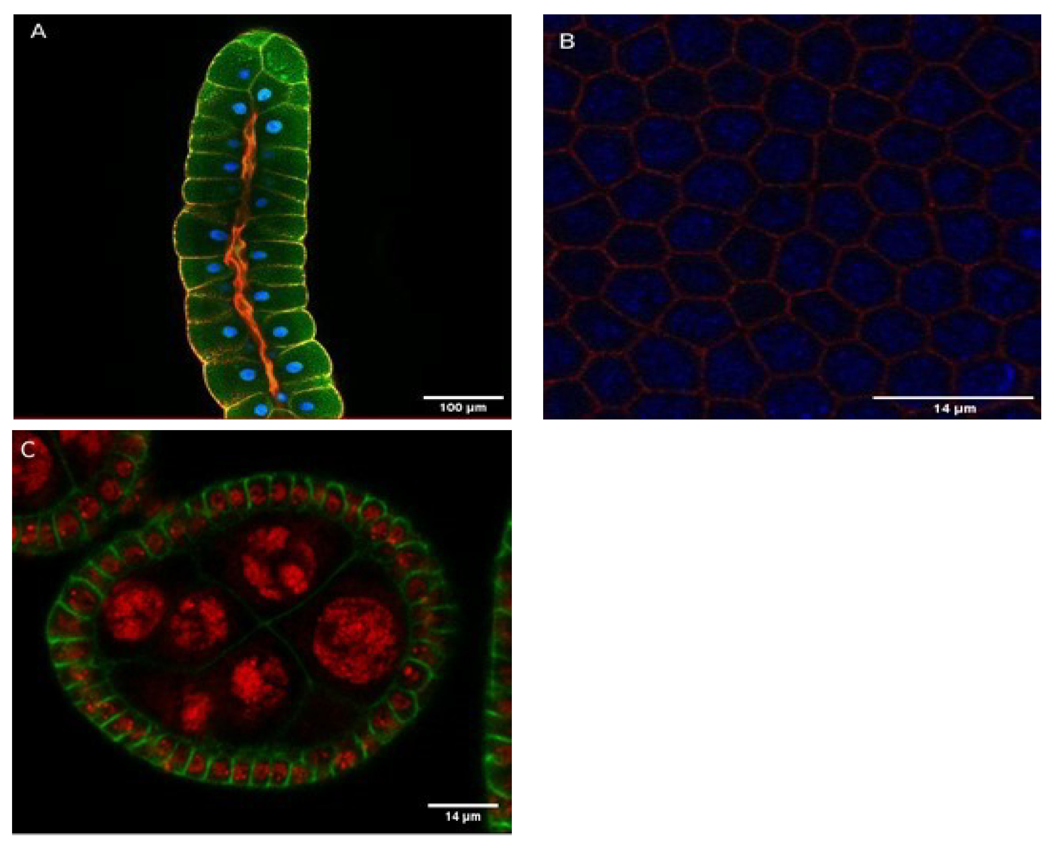 Applsci 11 06410 g001