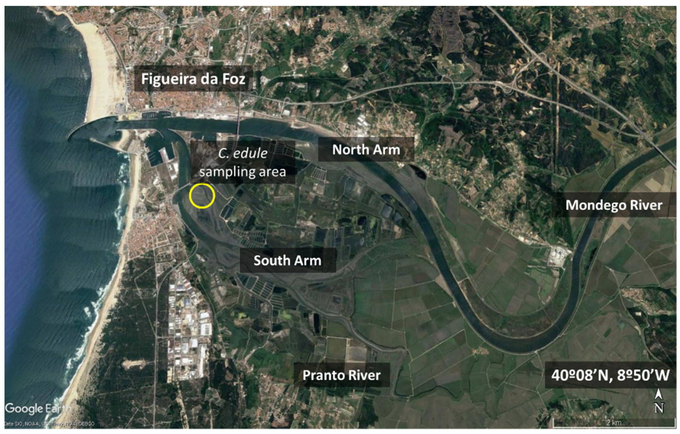 Applsci 11 06436 g001