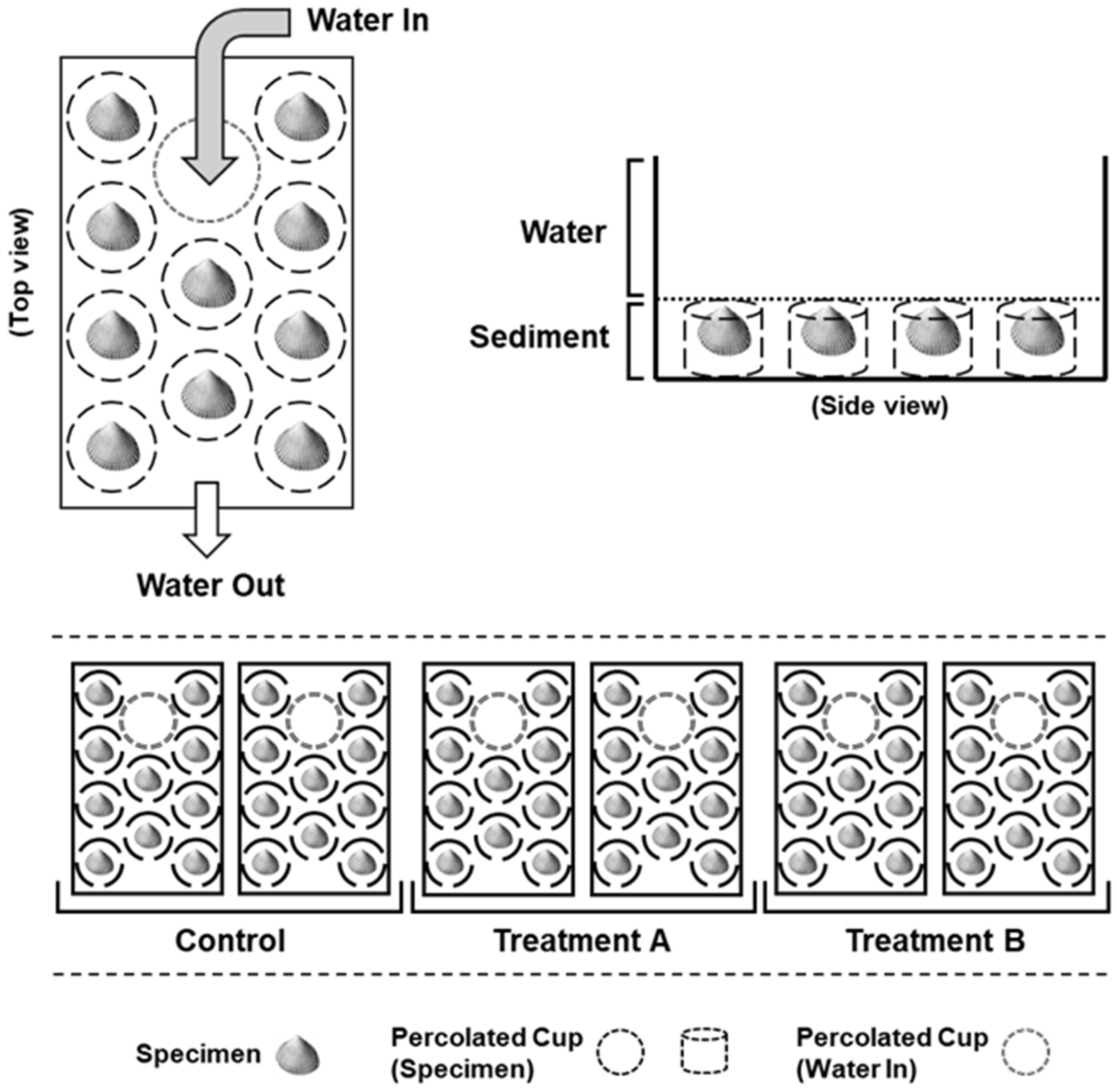 Applsci 11 06436 g002
