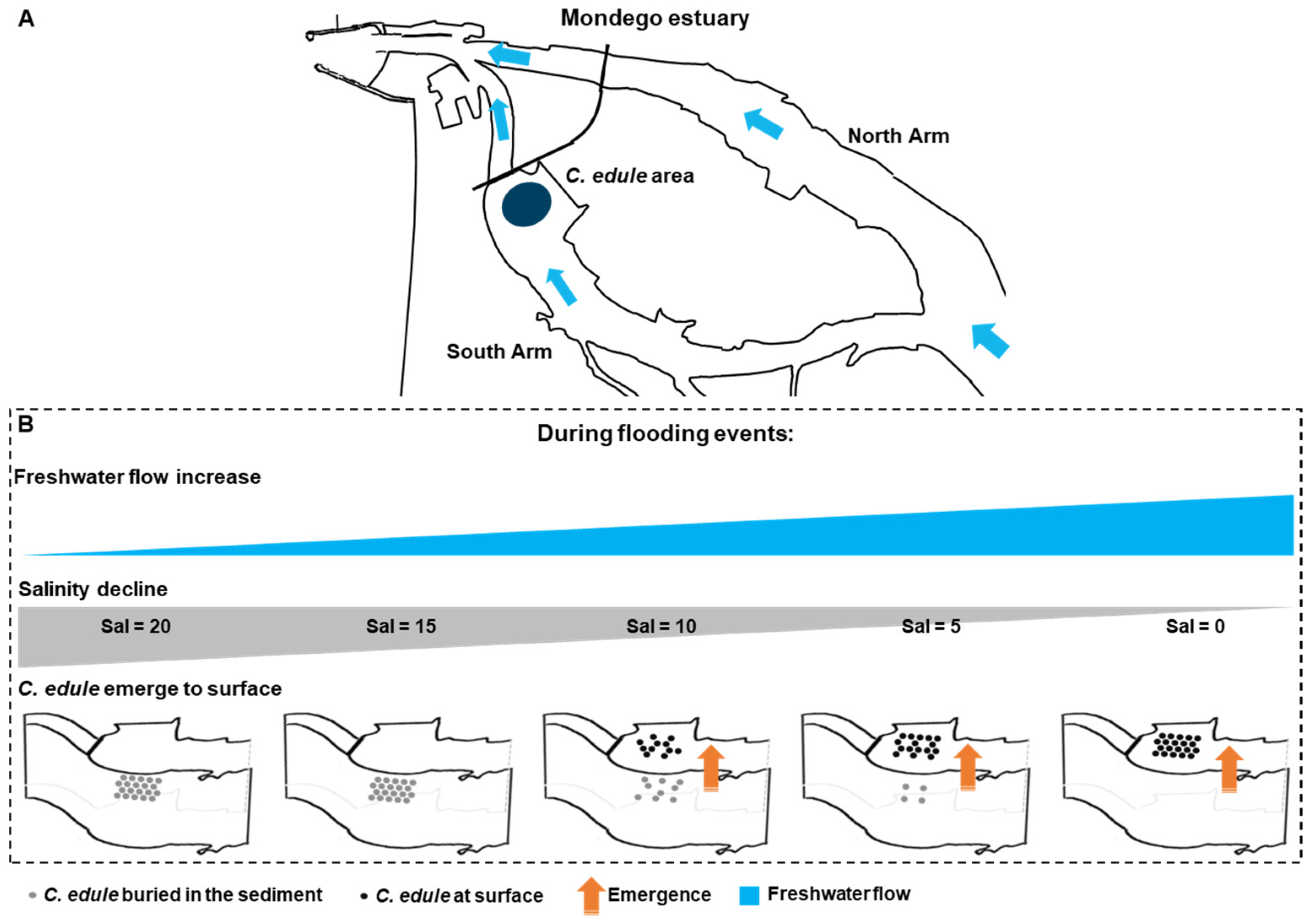 Applsci 11 06436 g005