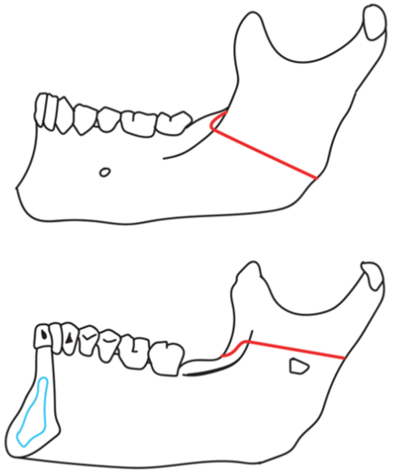 Applsci 11 06439 g001 550