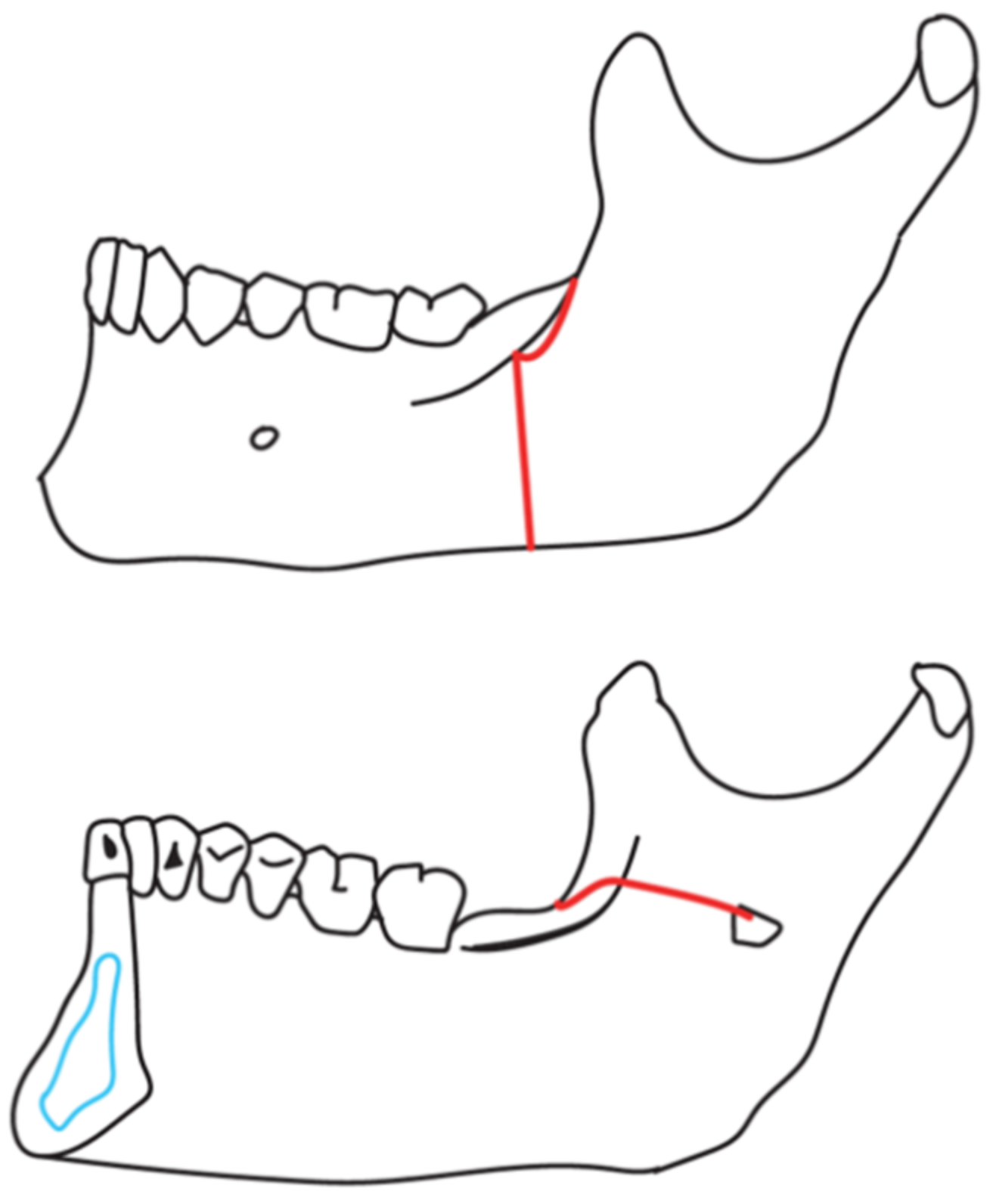 Applsci 11 06439 g003 550