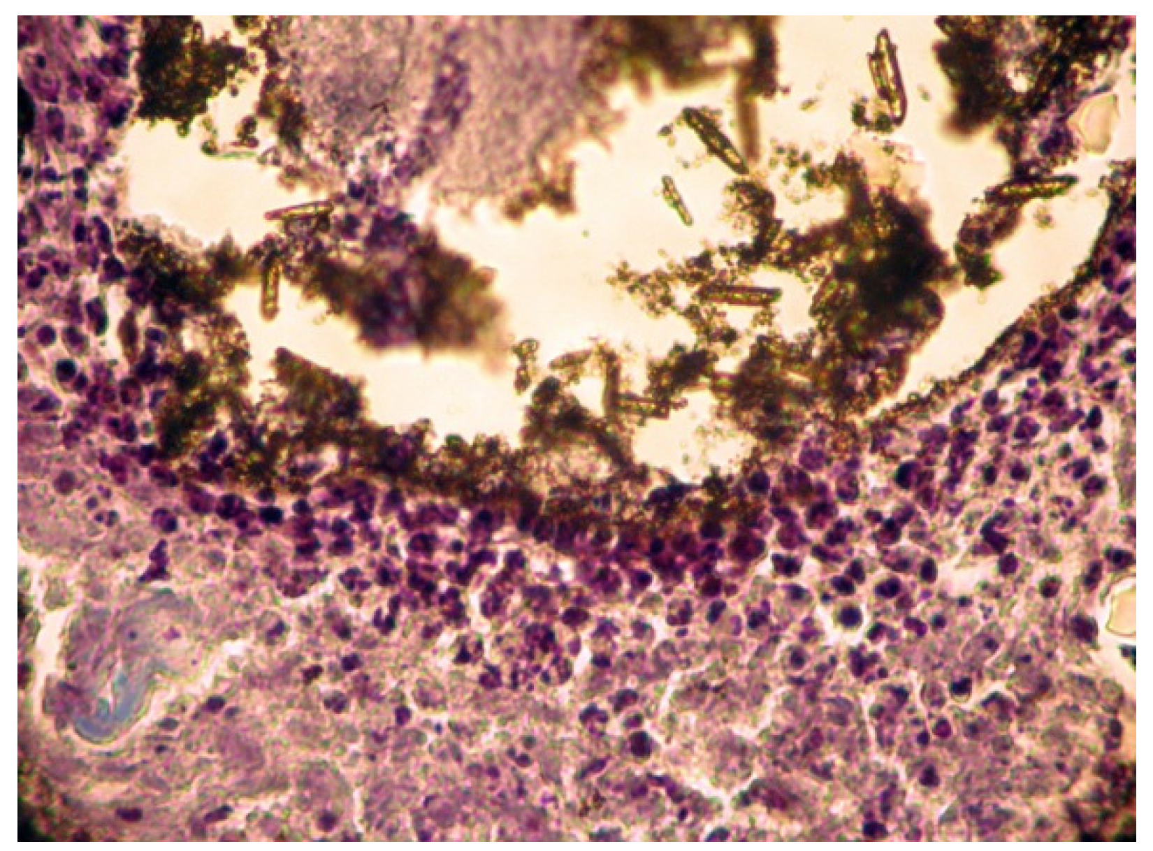 Applsci 11 06519 g004