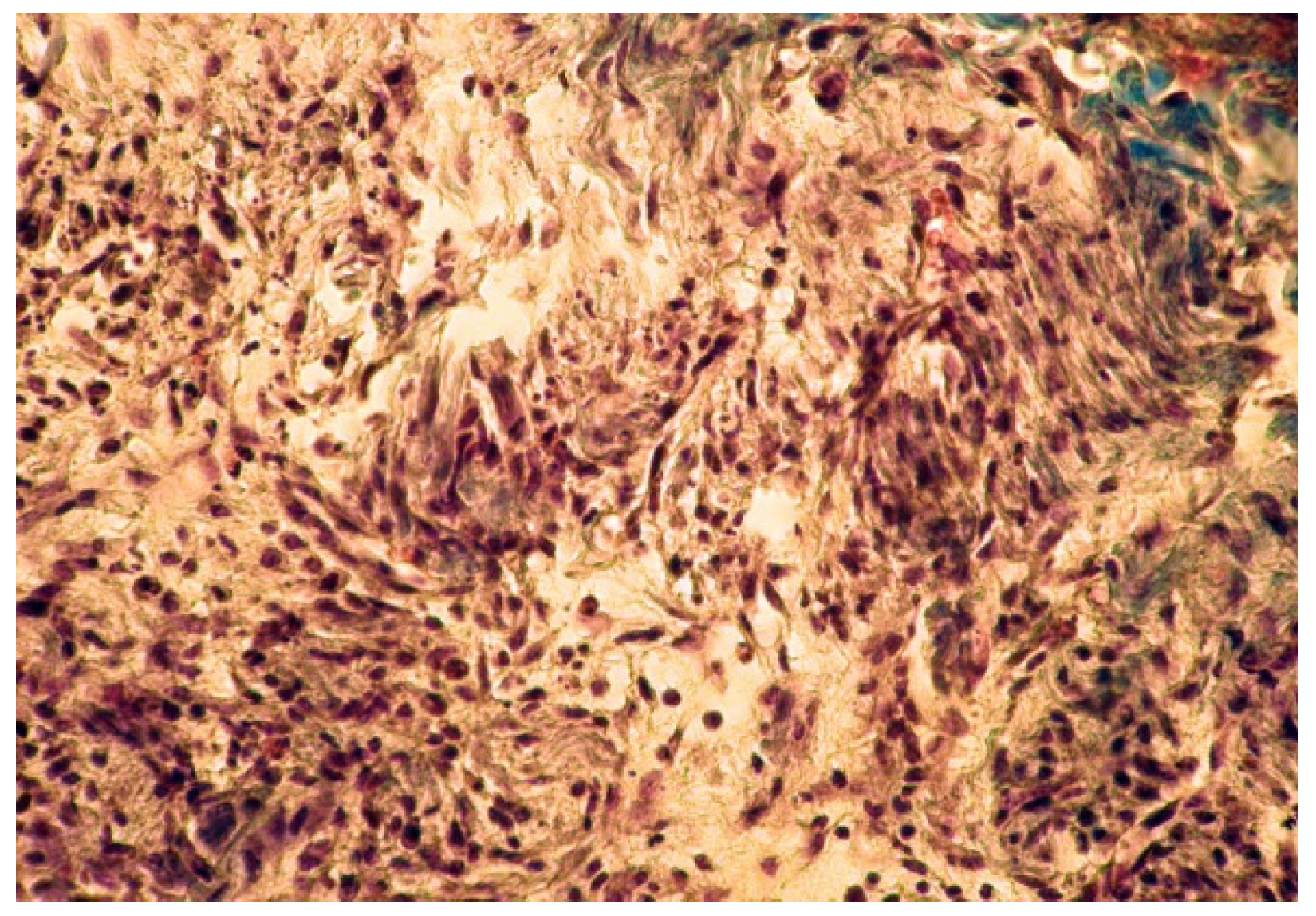 Applsci 11 06519 g005