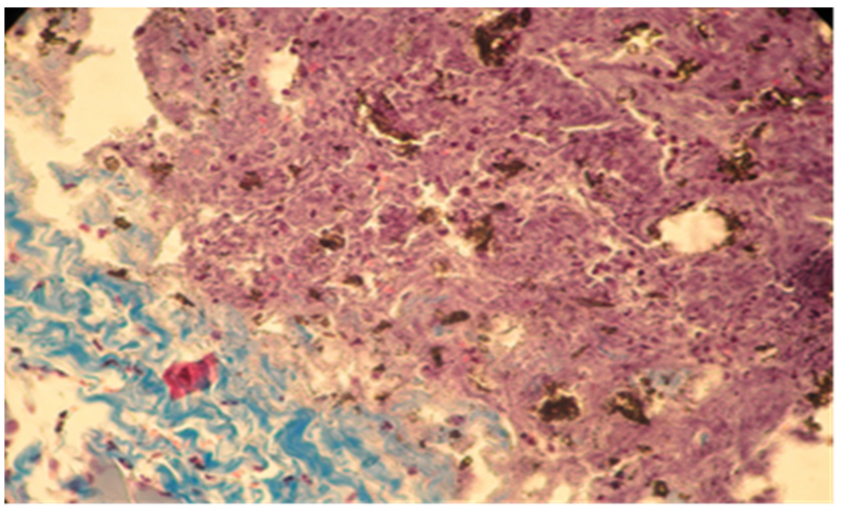 Applsci 11 06519 g008