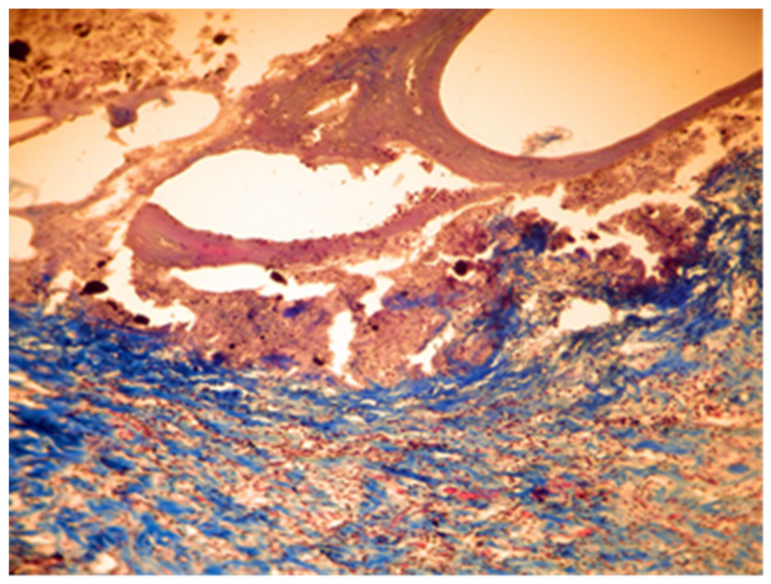 Applsci 11 06519 g009