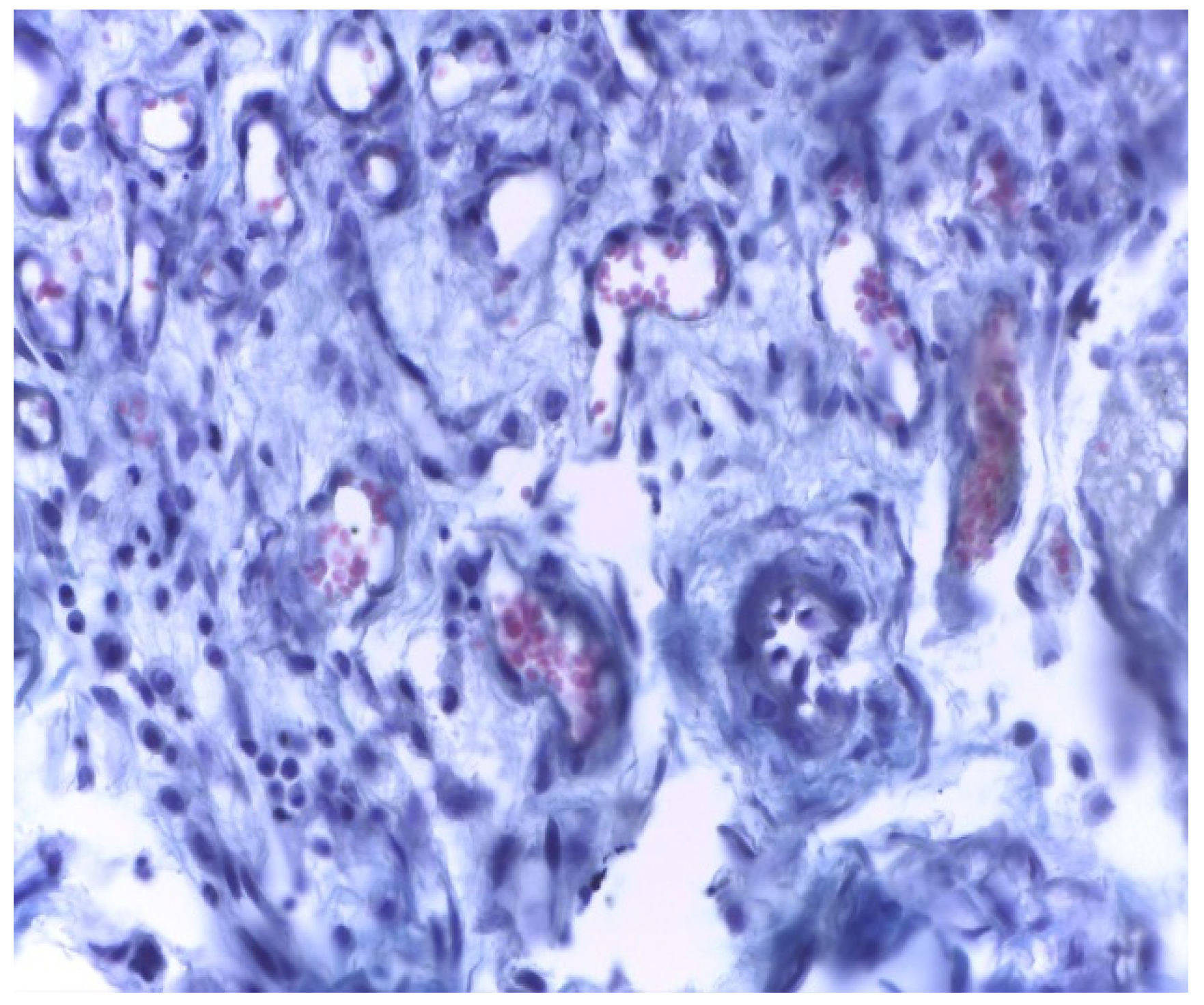 Applsci 11 06519 g011