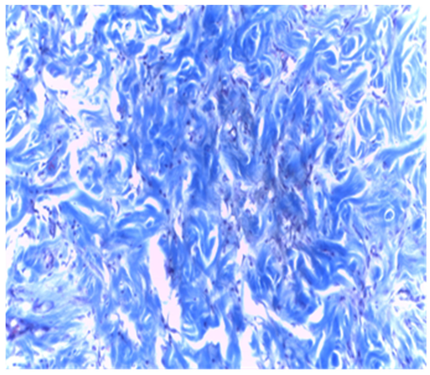 Applsci 11 06519 g012