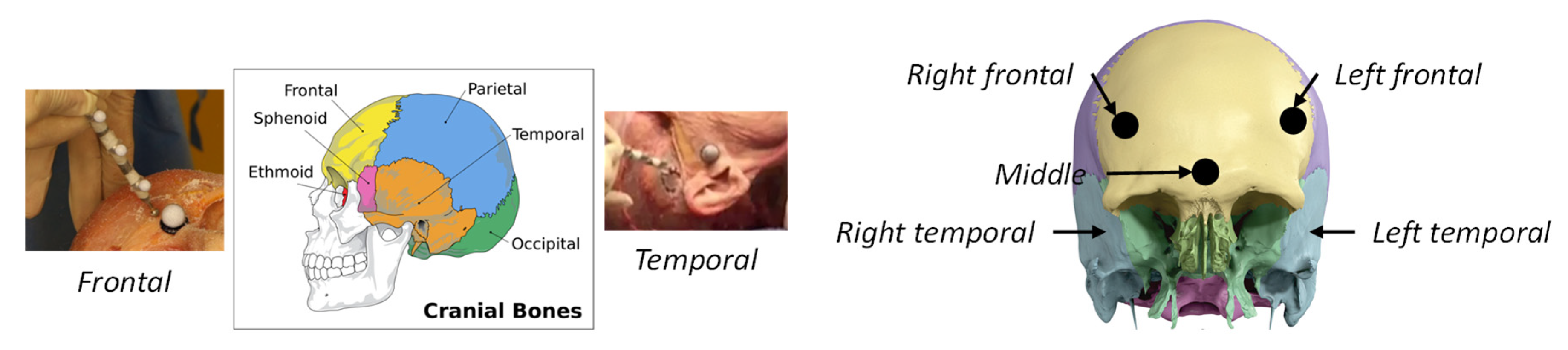 Applsci 11 06534 g002 550