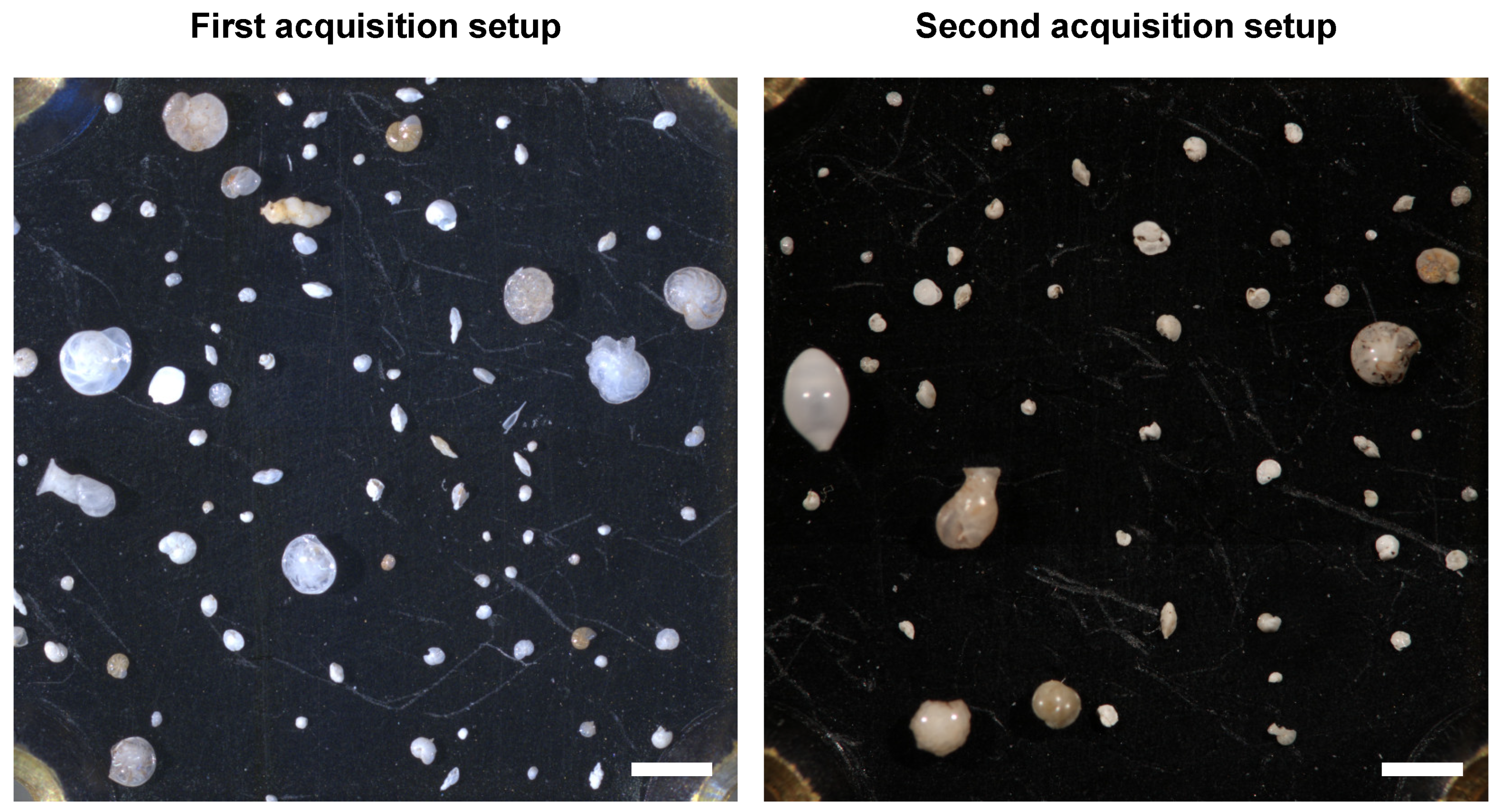 Applsci 11 06543 g001 550