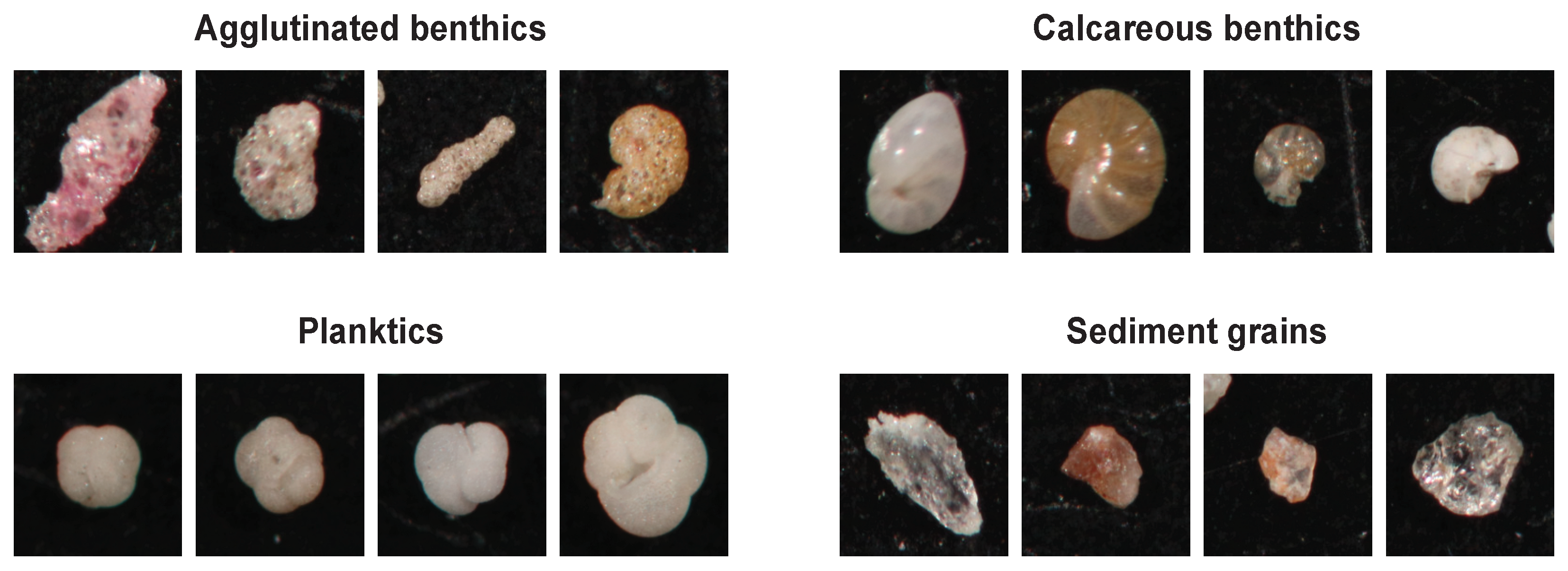 Applsci 11 06543 g002 550