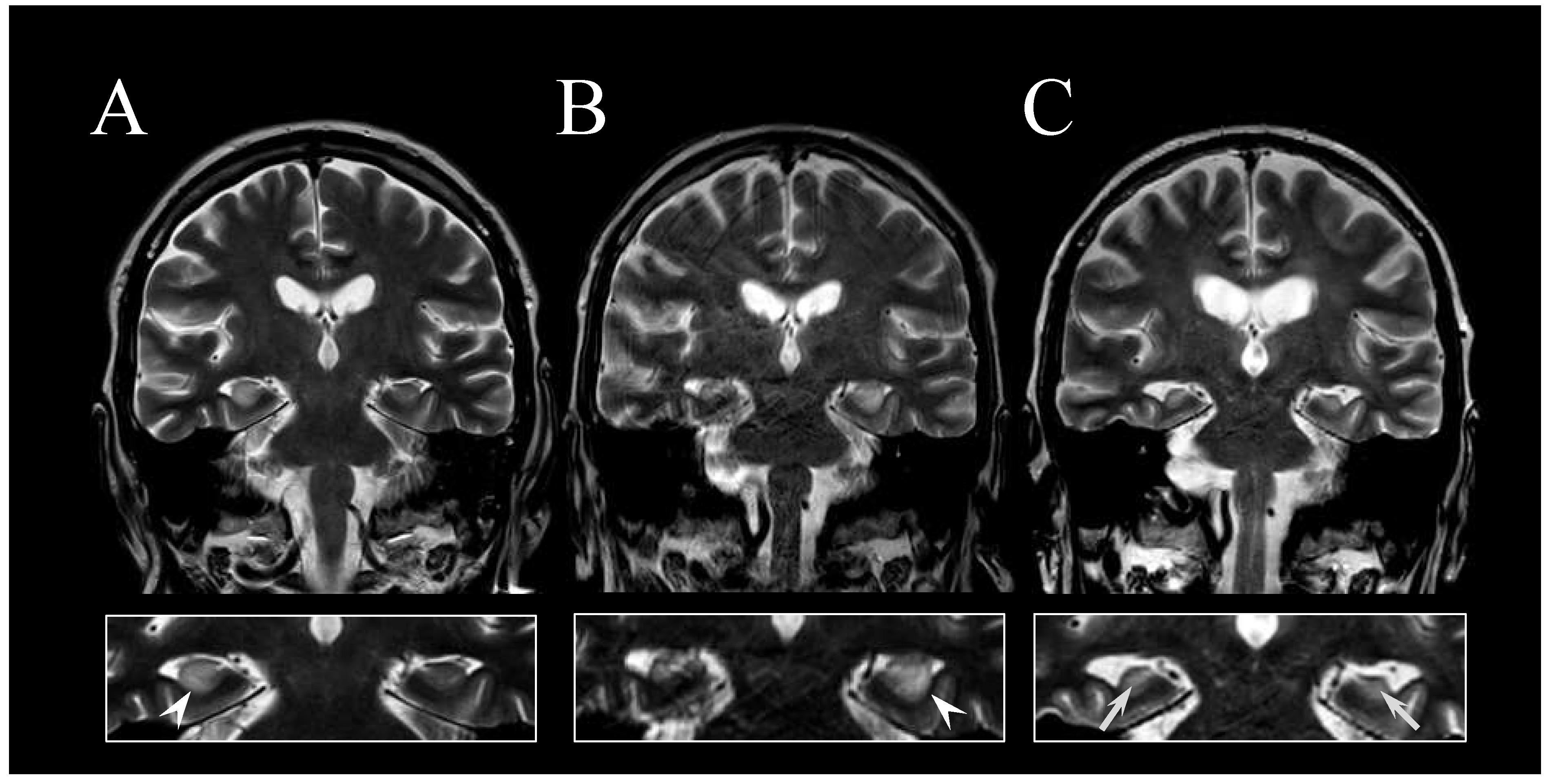 Applsci 11 06548 g001