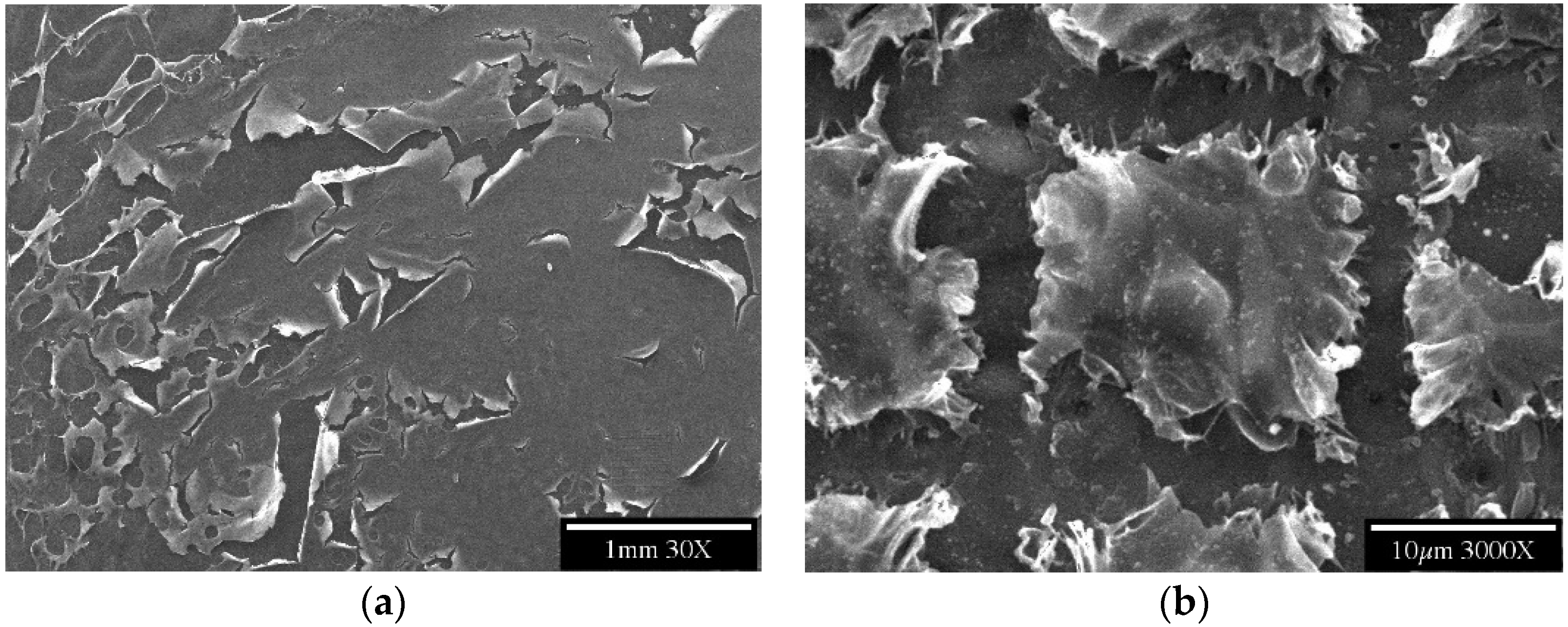 Applsci 11 06559 g005