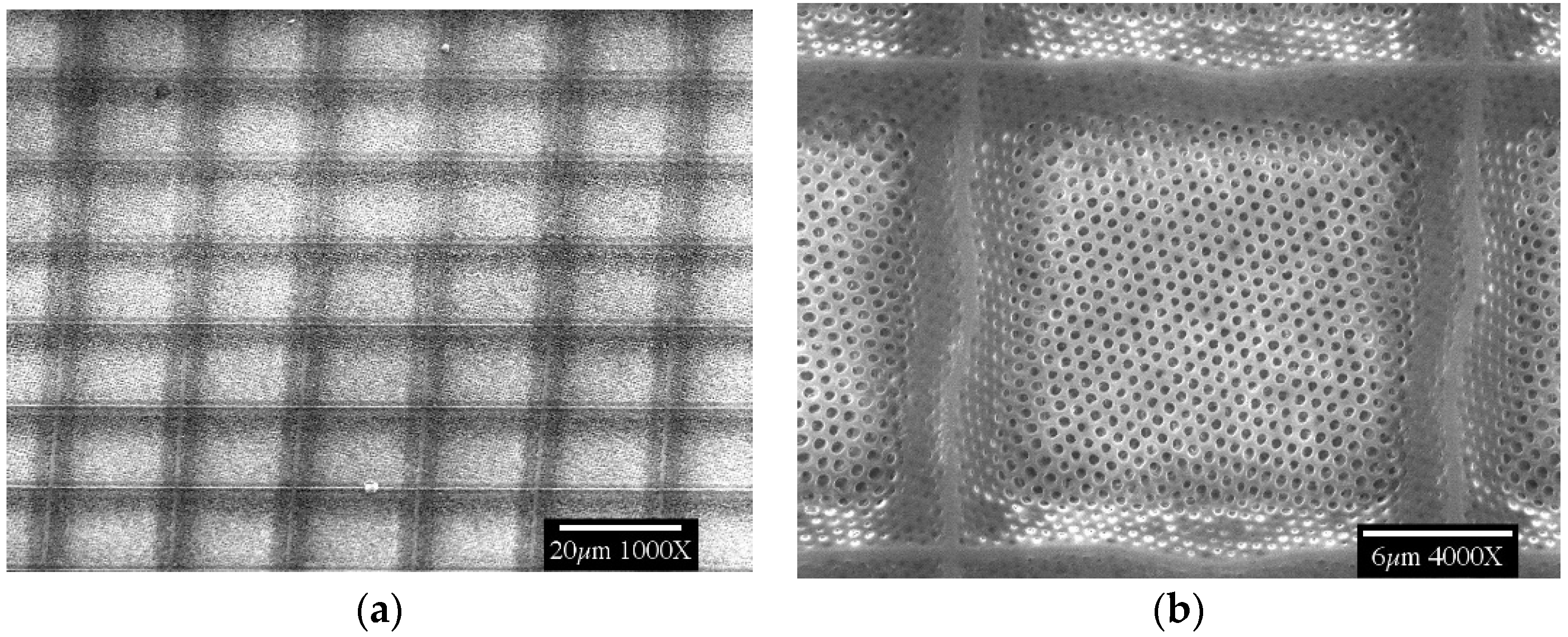 Applsci 11 06559 g006