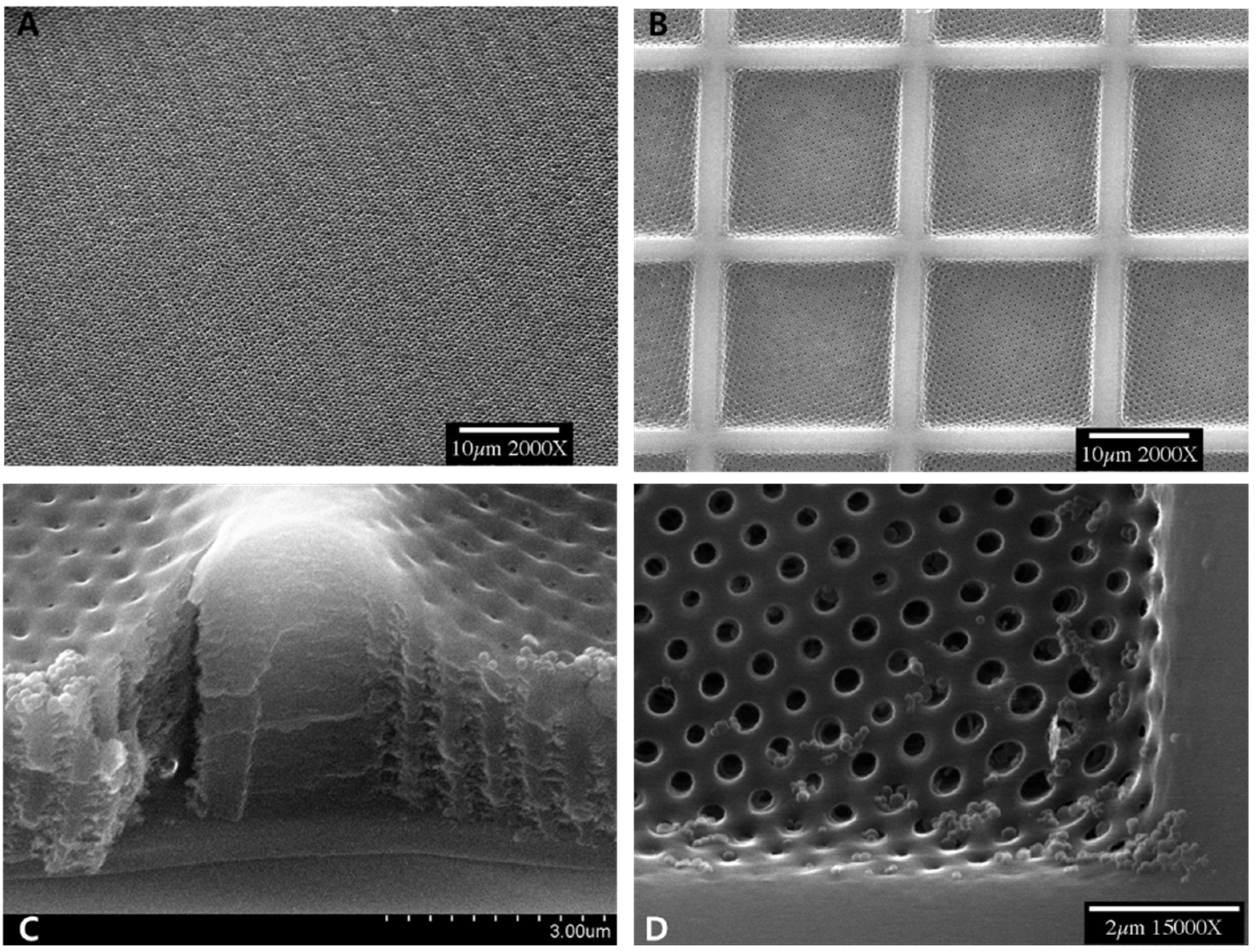 Applsci 11 06559 g008