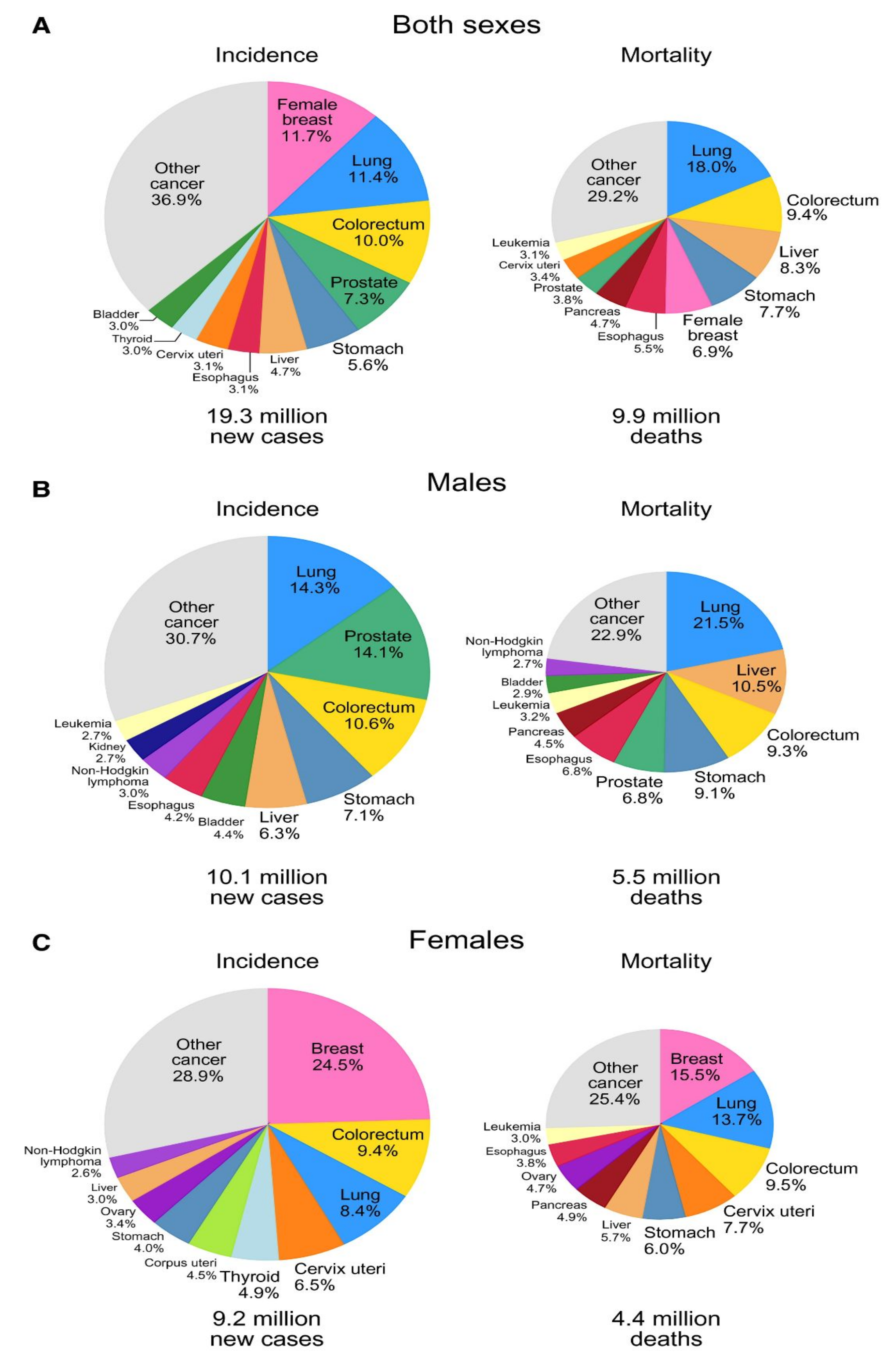 Applsci 11 06565 g001 550