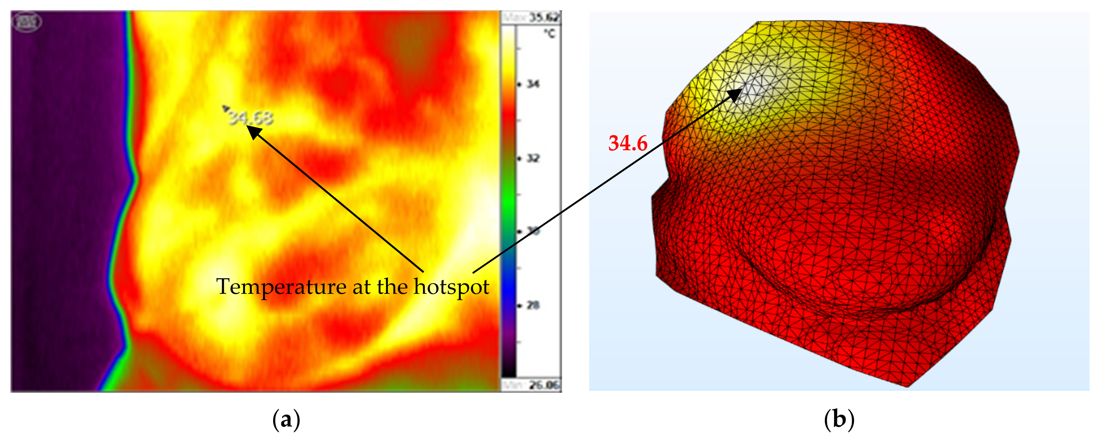 Applsci 11 06565 g010 550