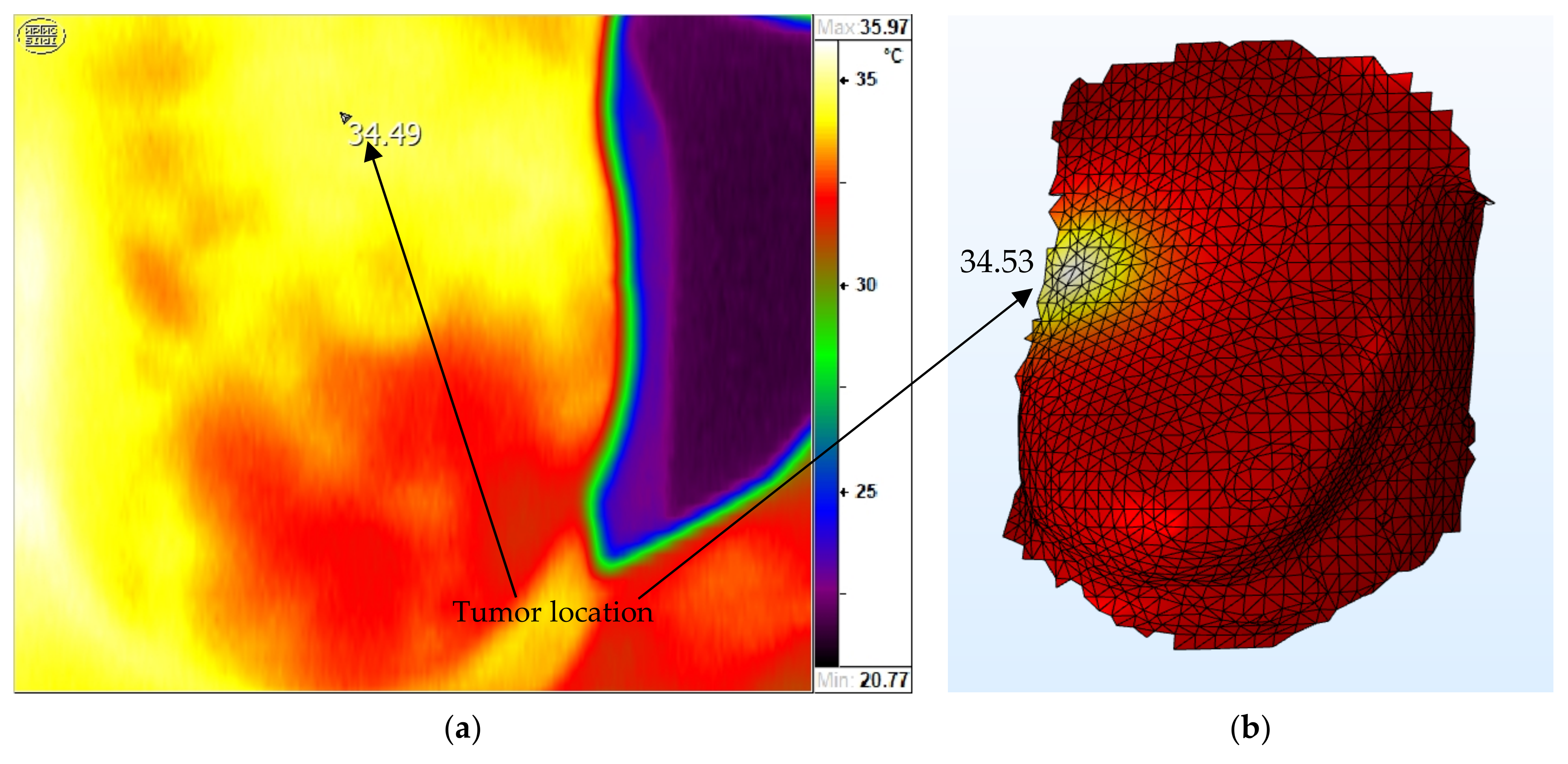 Applsci 11 06565 g012 550