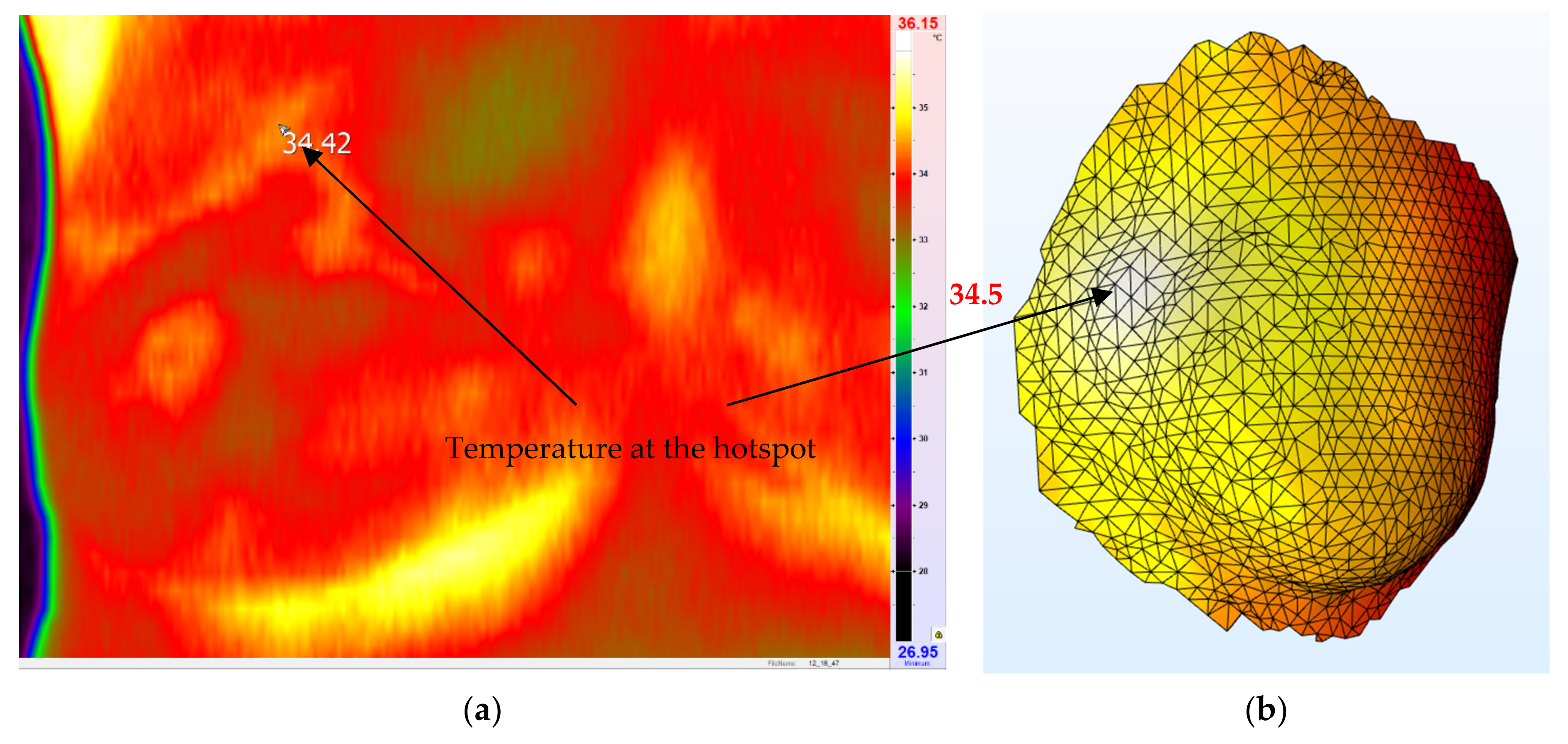 Applsci 11 06565 g013 550