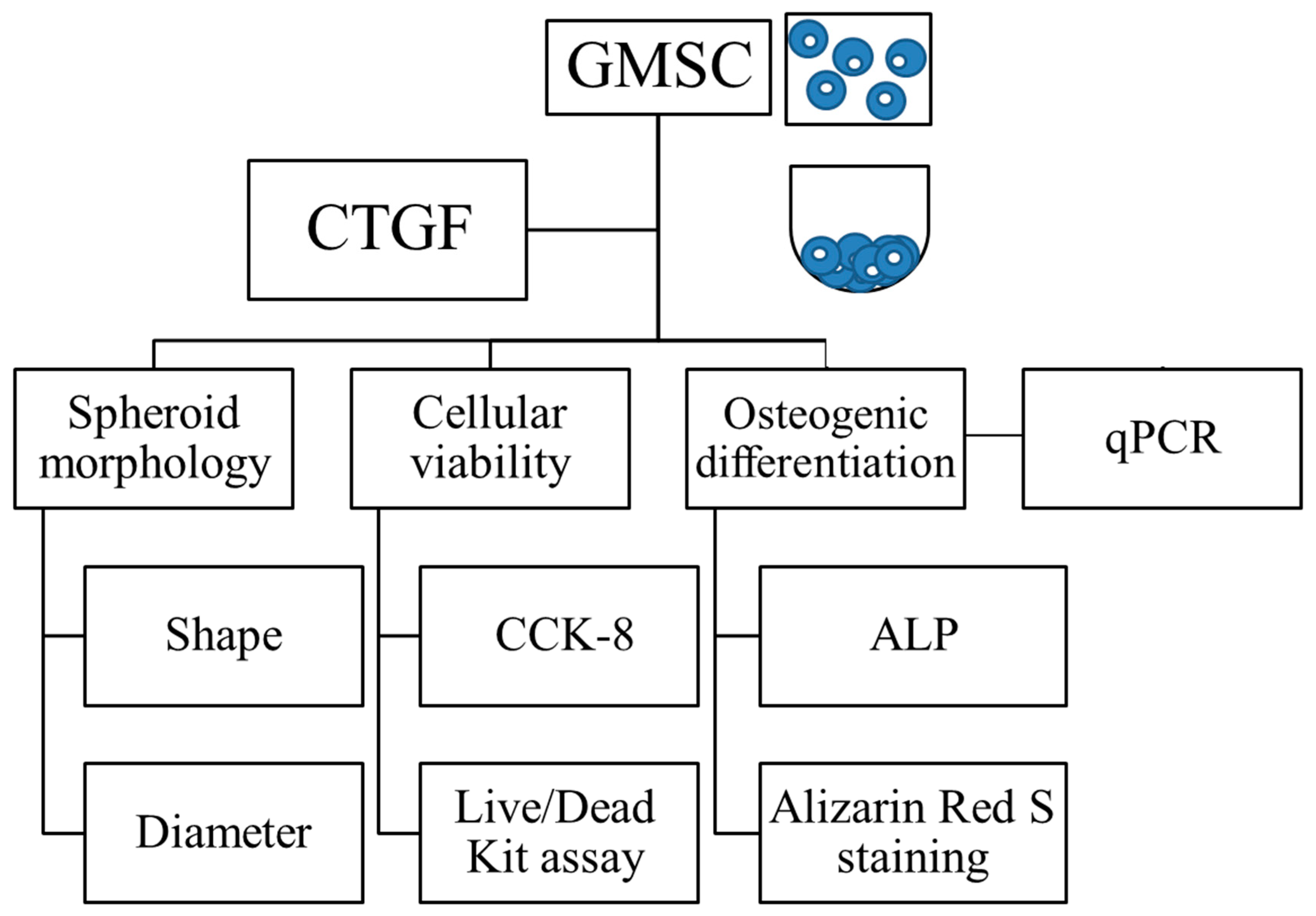 Applsci 11 06572 g001