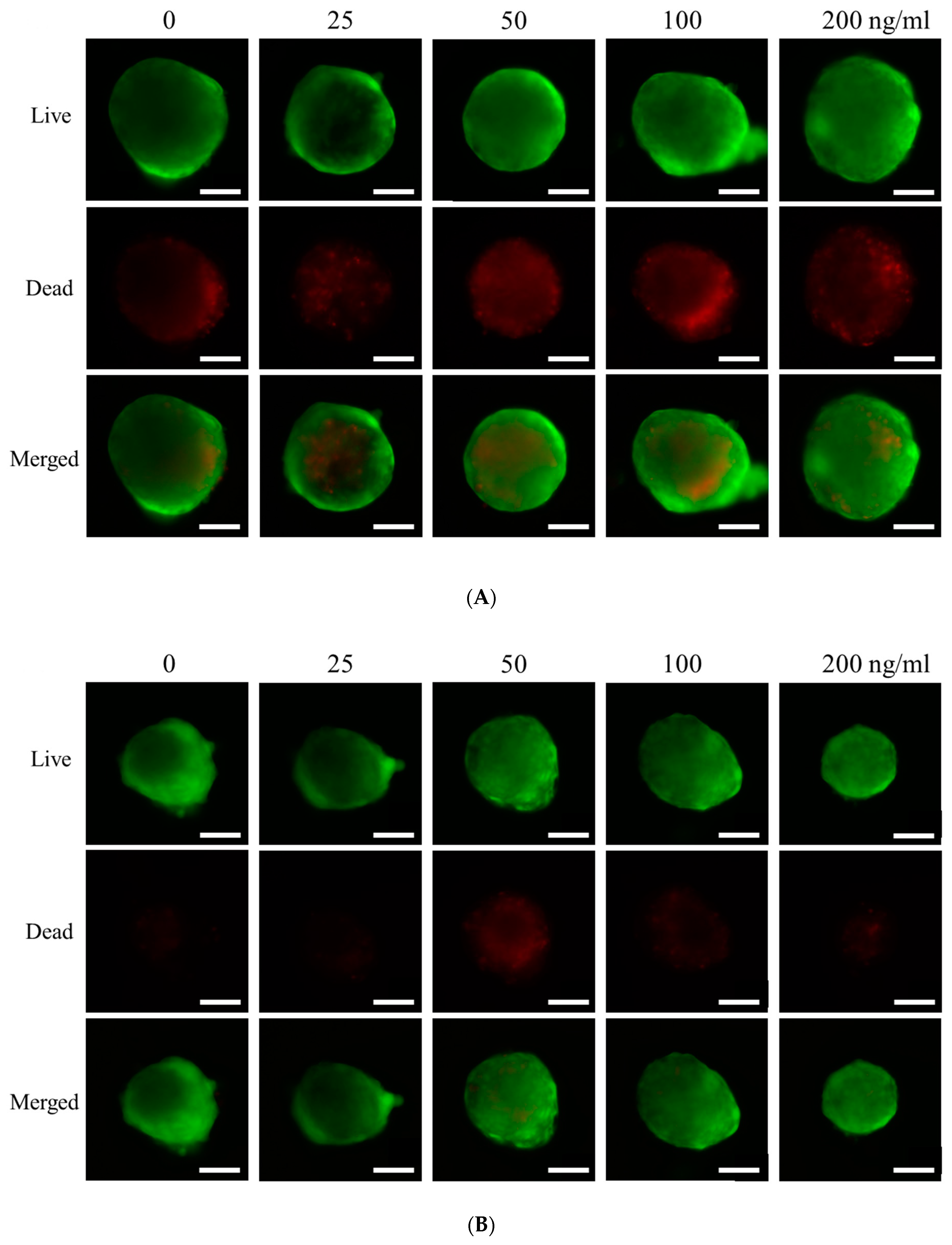 Applsci 11 06572 g004a