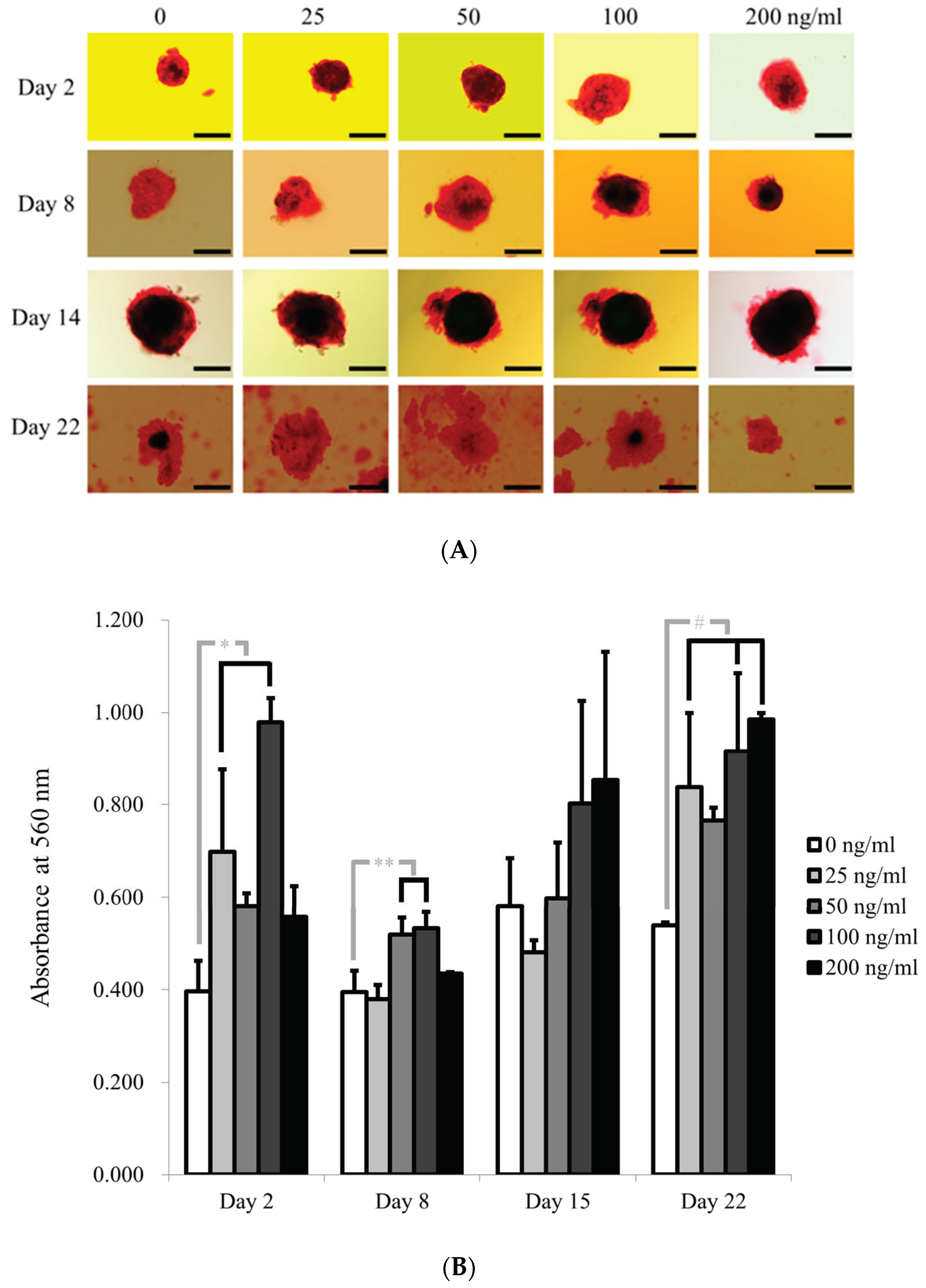 Applsci 11 06572 g006