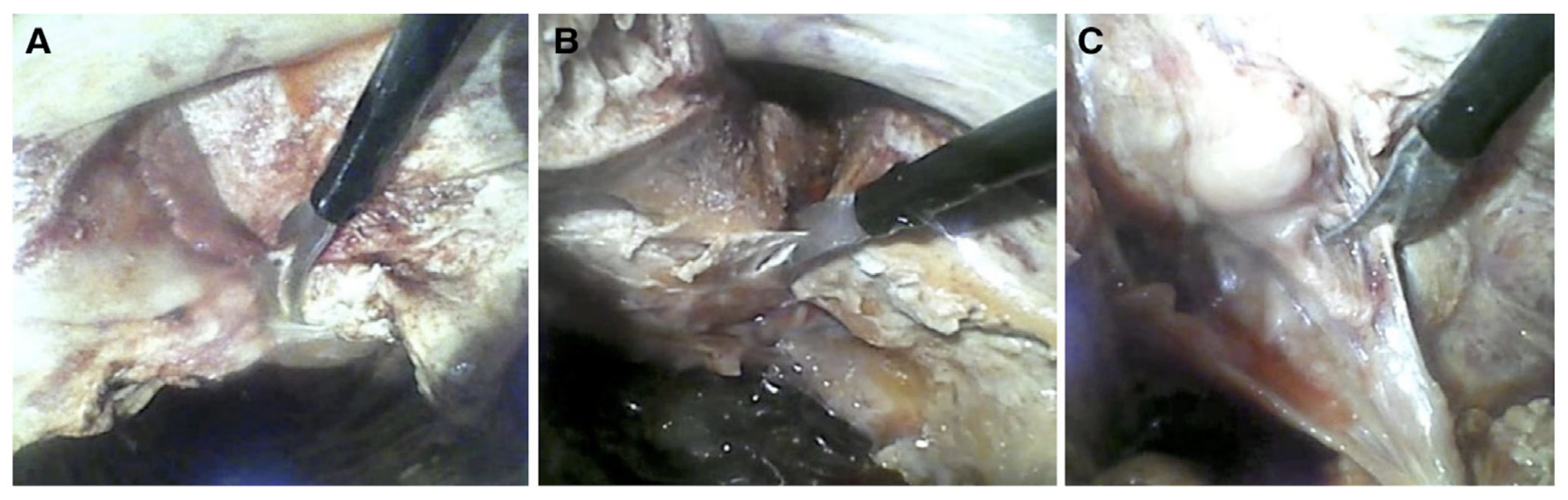 Applsci 11 06586 g001 550