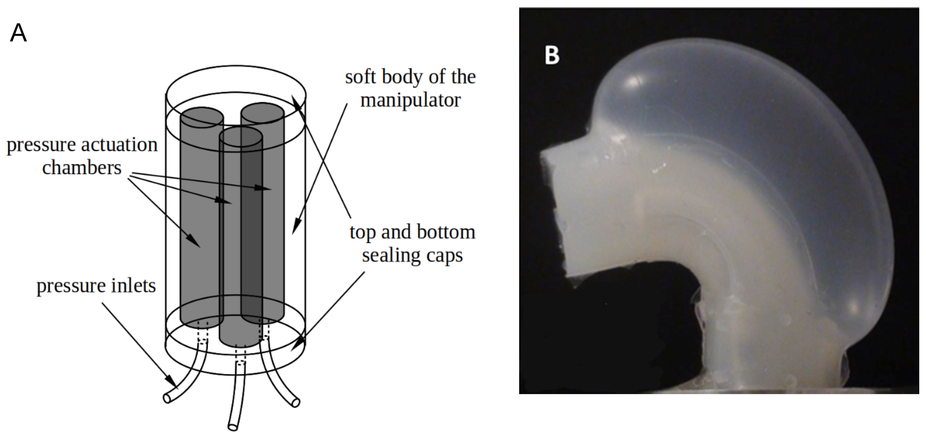 Applsci 11 06586 g005 550