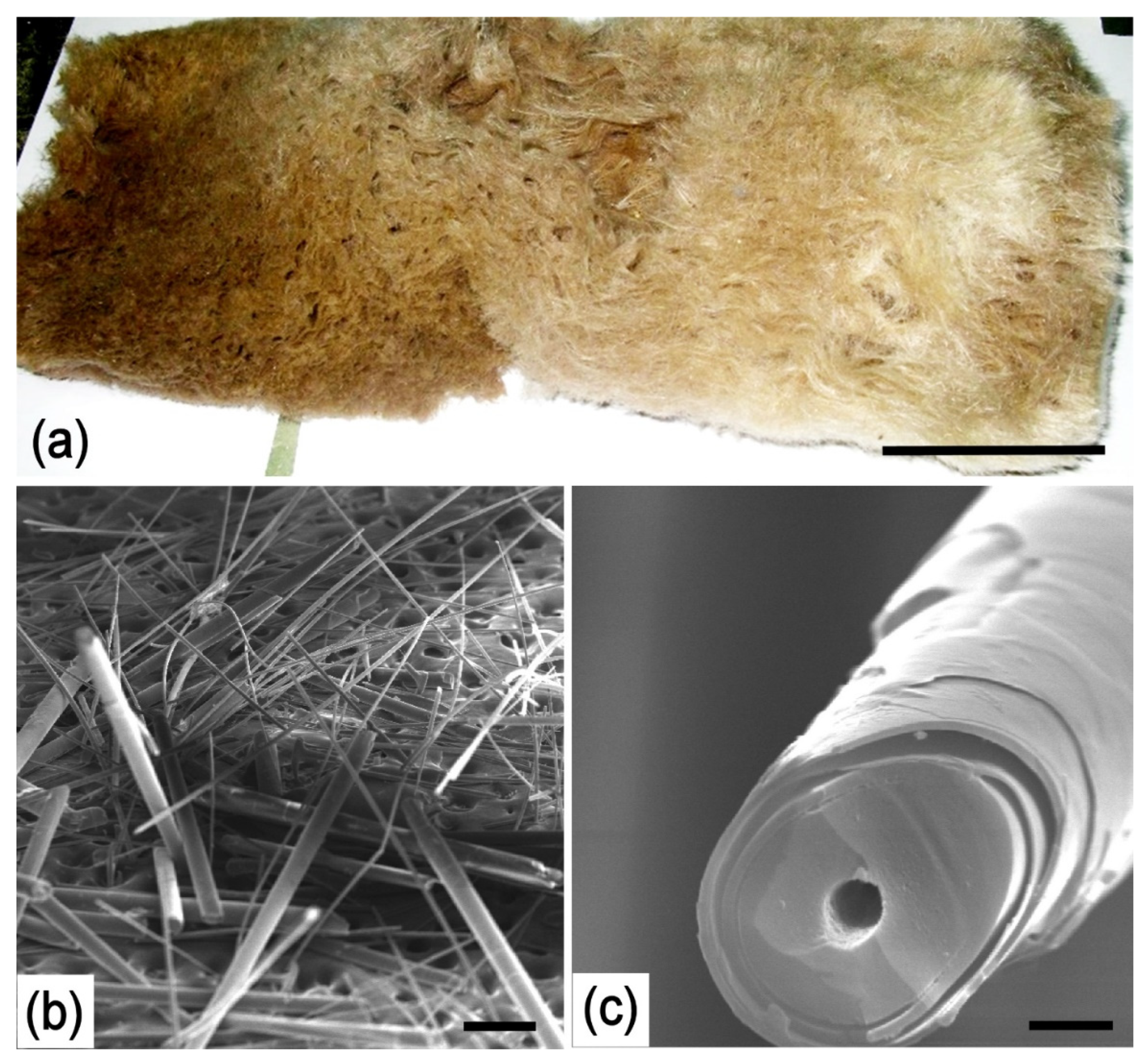 Applsci 11 06587 g002