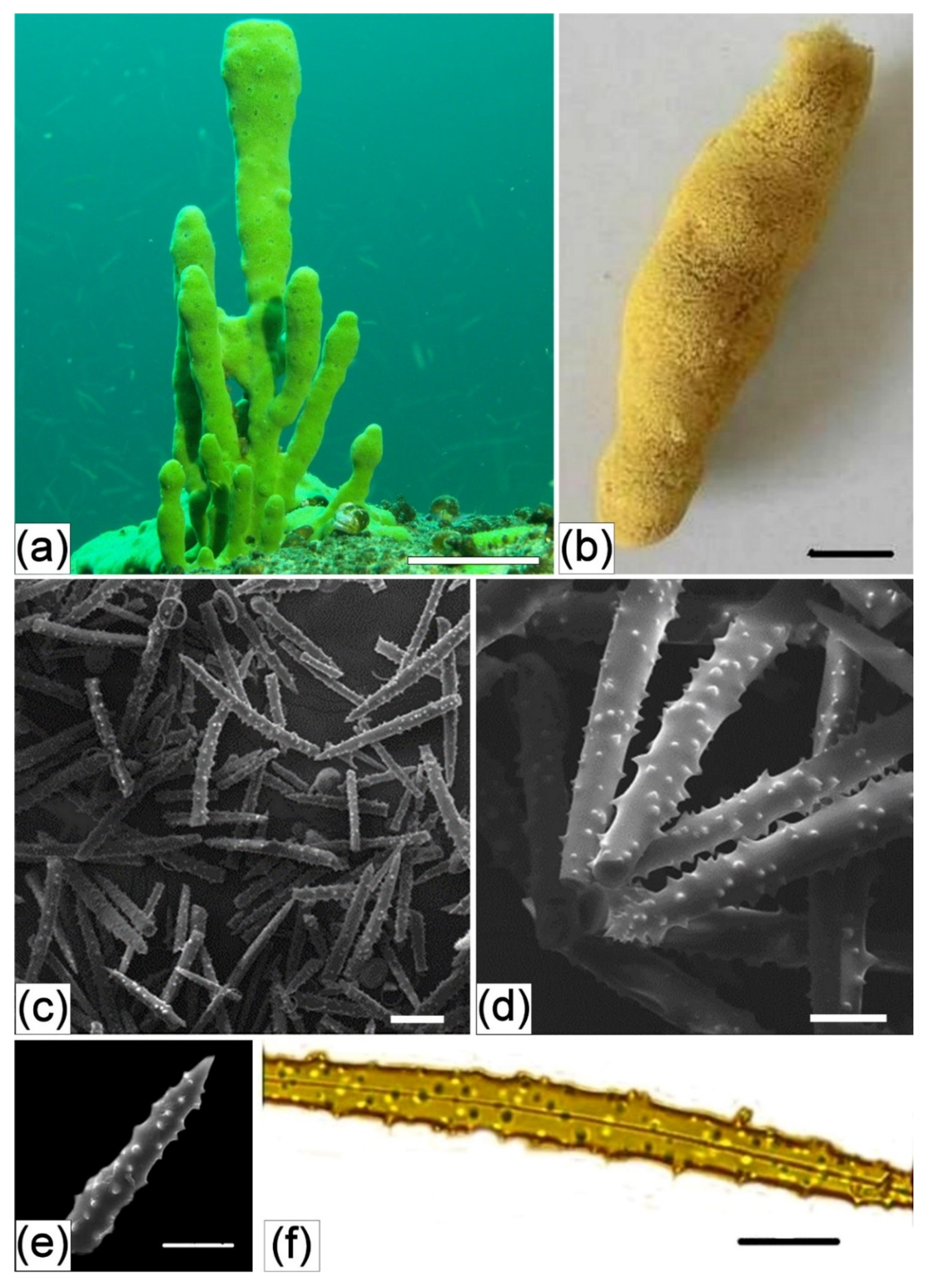 Applsci 11 06587 g010