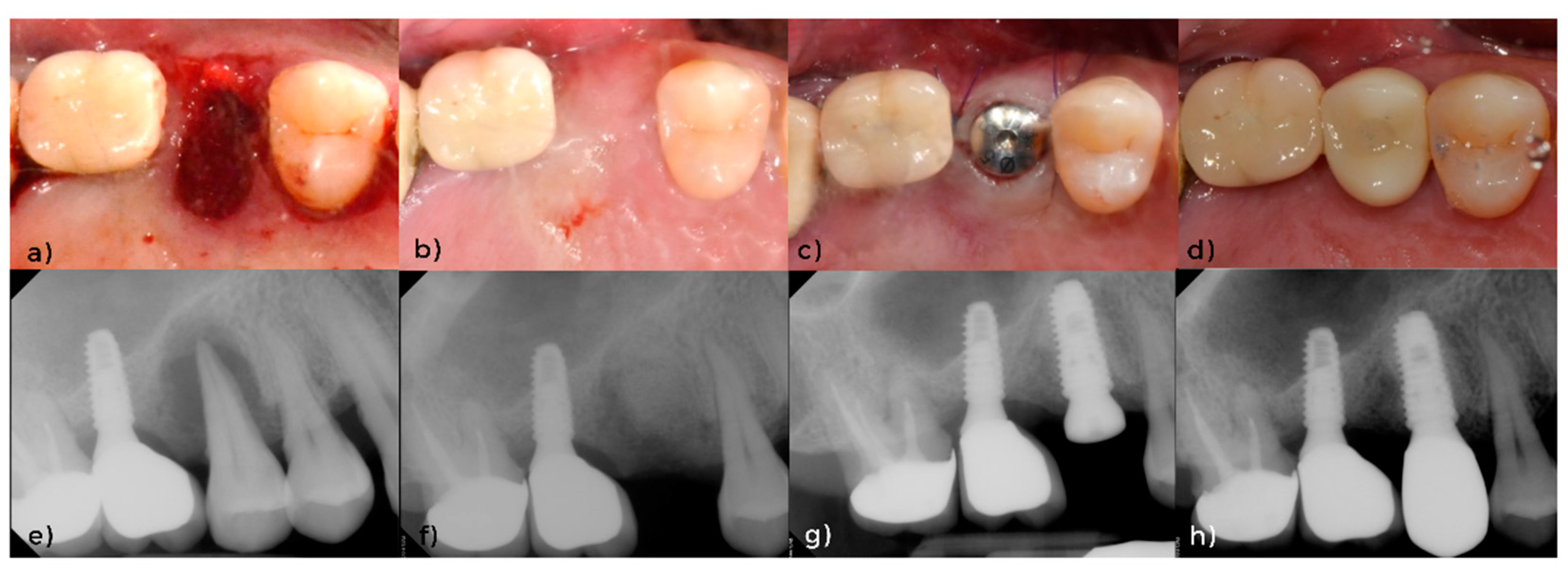 Applsci 11 06591 g001