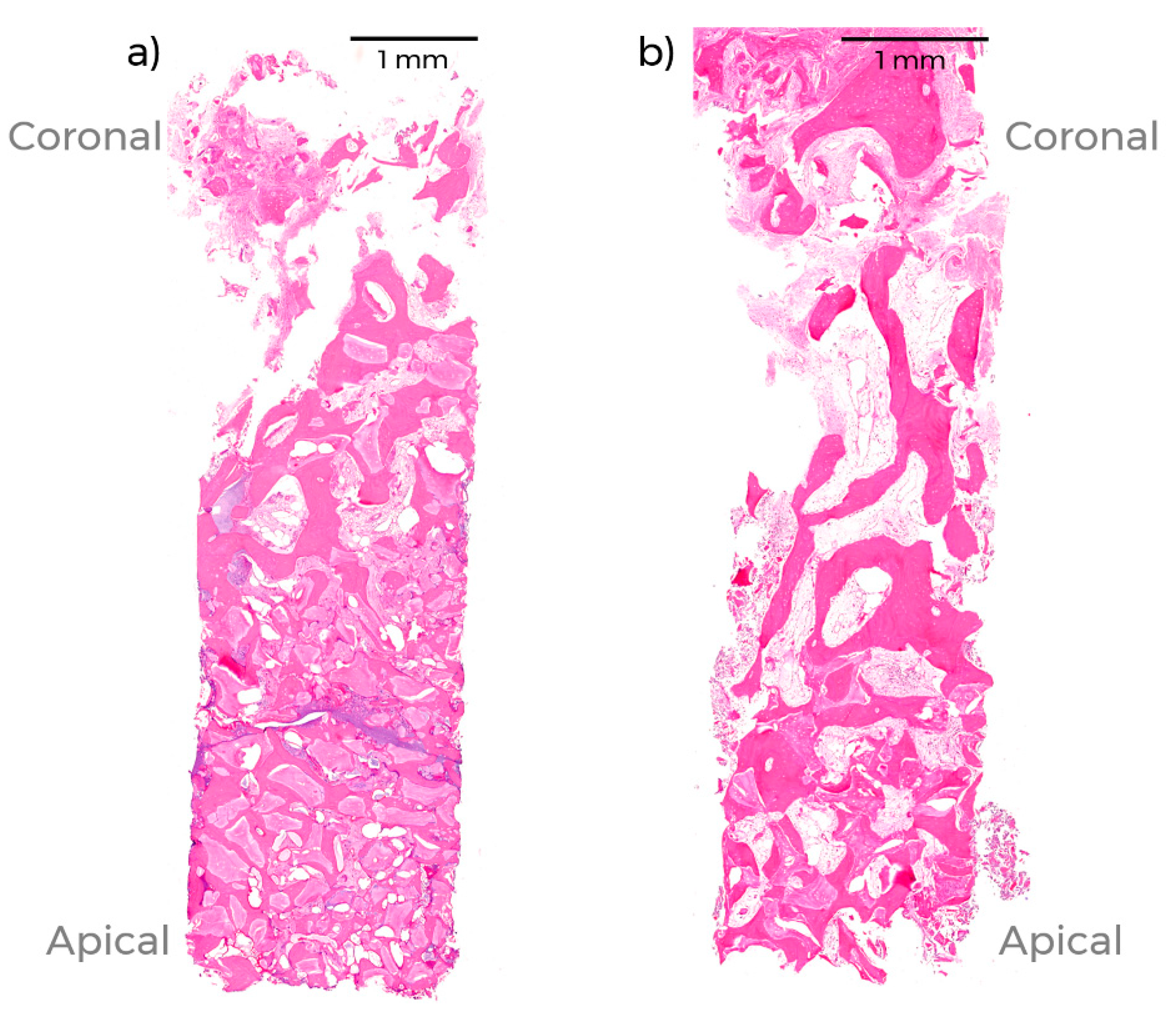 Applsci 11 06591 g004
