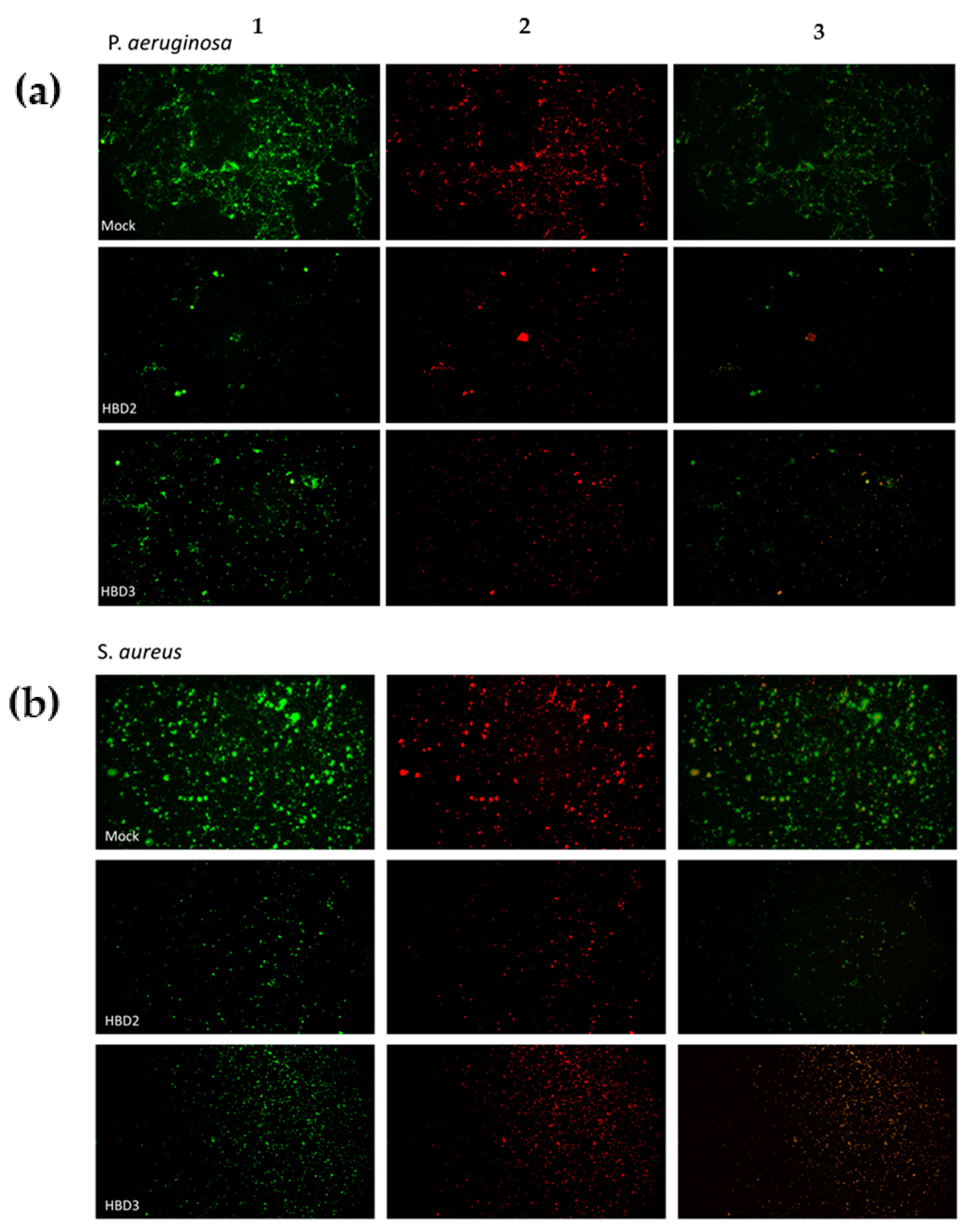 Applsci 11 06595 g003 550