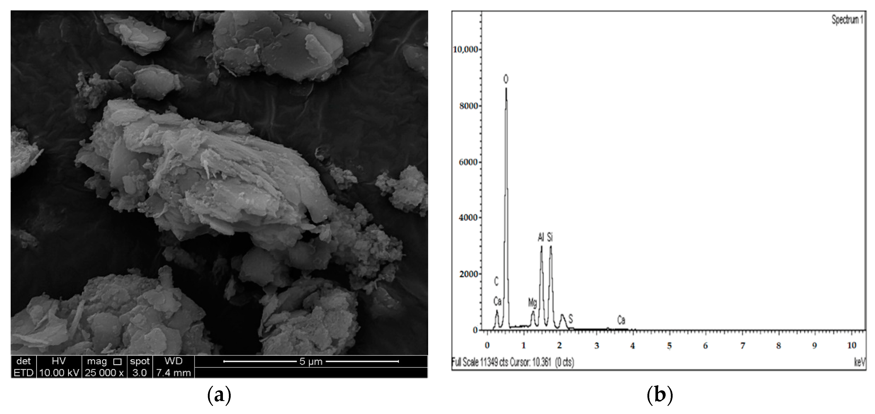 Applsci 11 06618 g025 550
