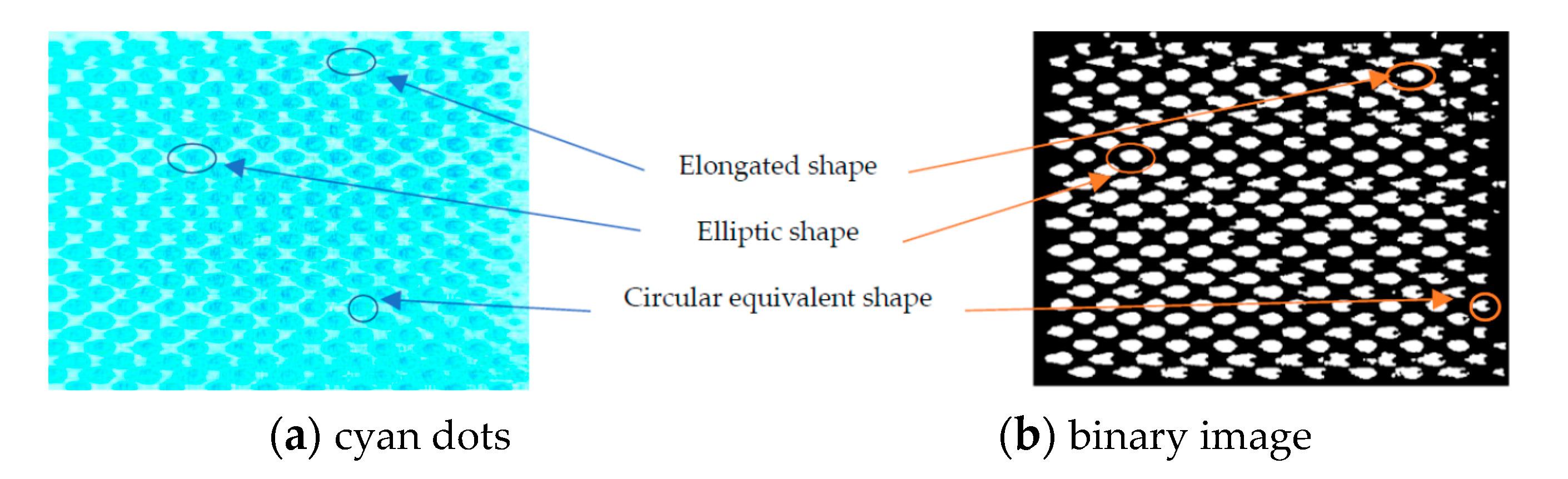 Applsci 11 06634 g013
