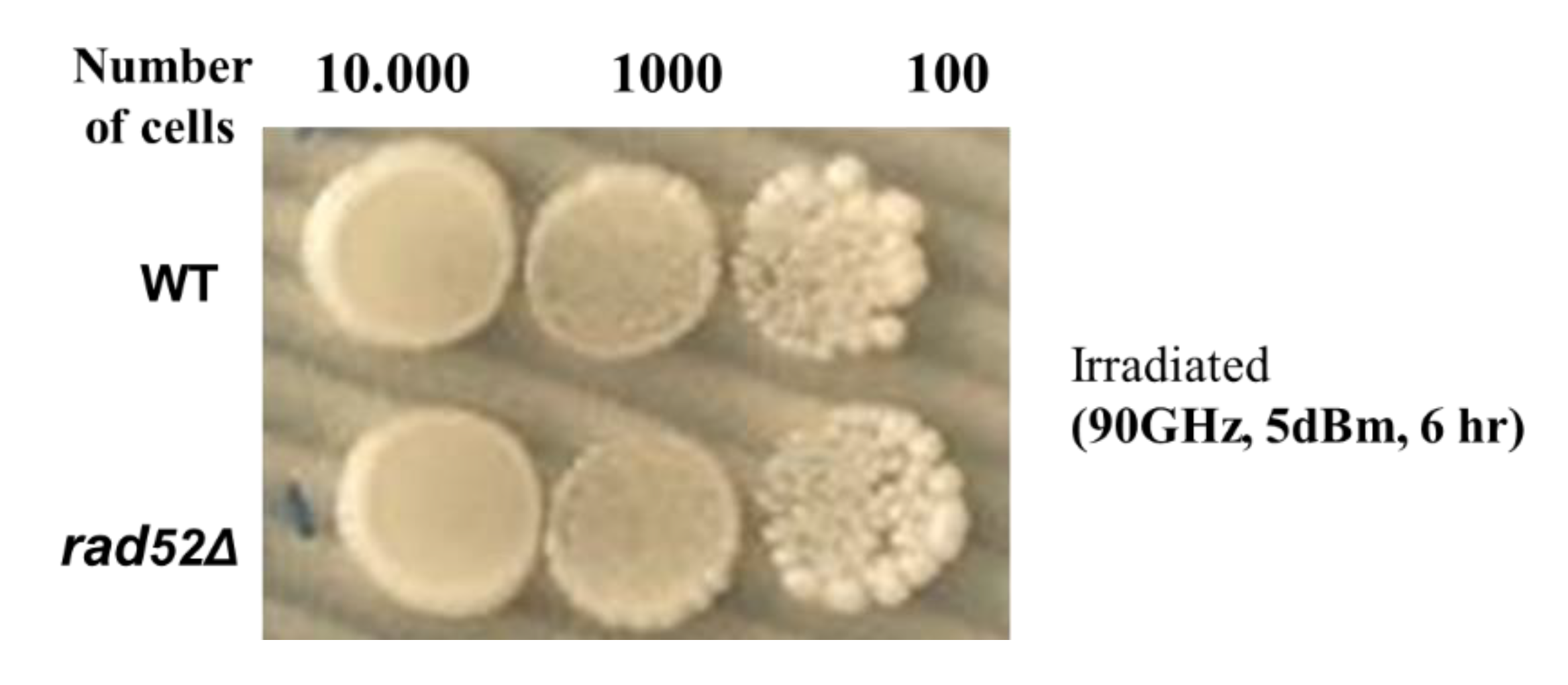 Applsci 11 06635 g002 Applsci 11 06635 g002